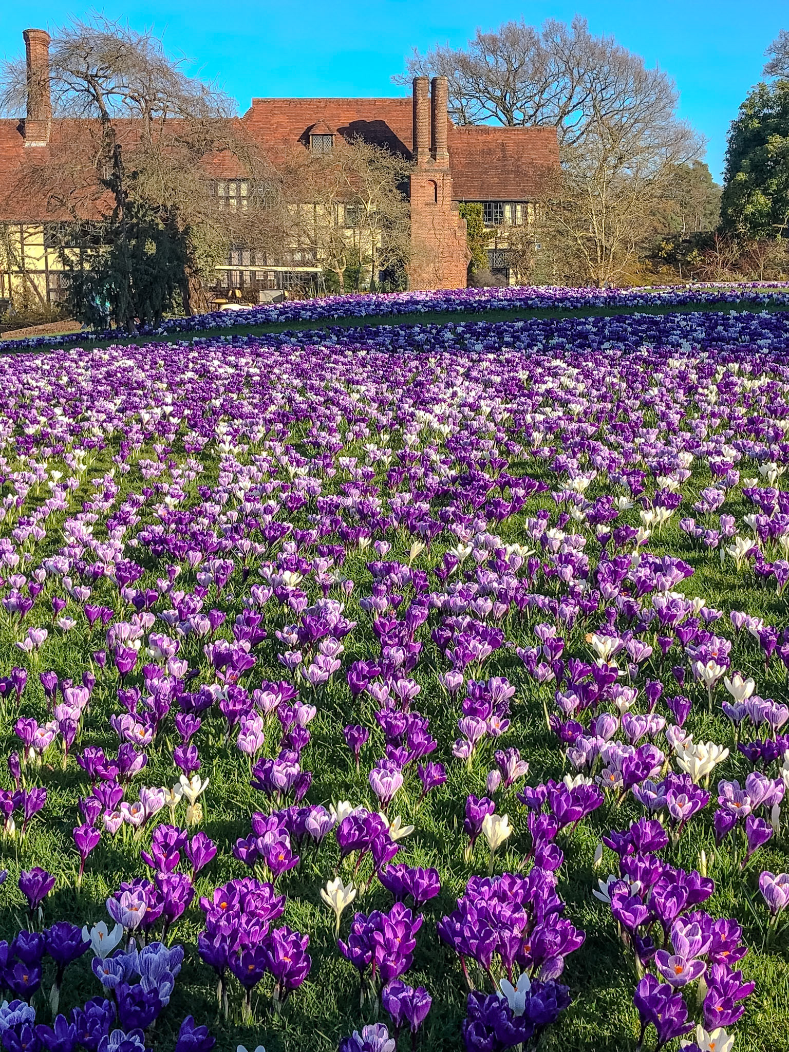 _2019-02-26__iPhone X__ iPhone X back dual camera 4mm f/1.8__f/1.8__1/950 sec__Portsmouth Road__Woking__England__51°18'49.5612" N 0°28'26.1084" W_