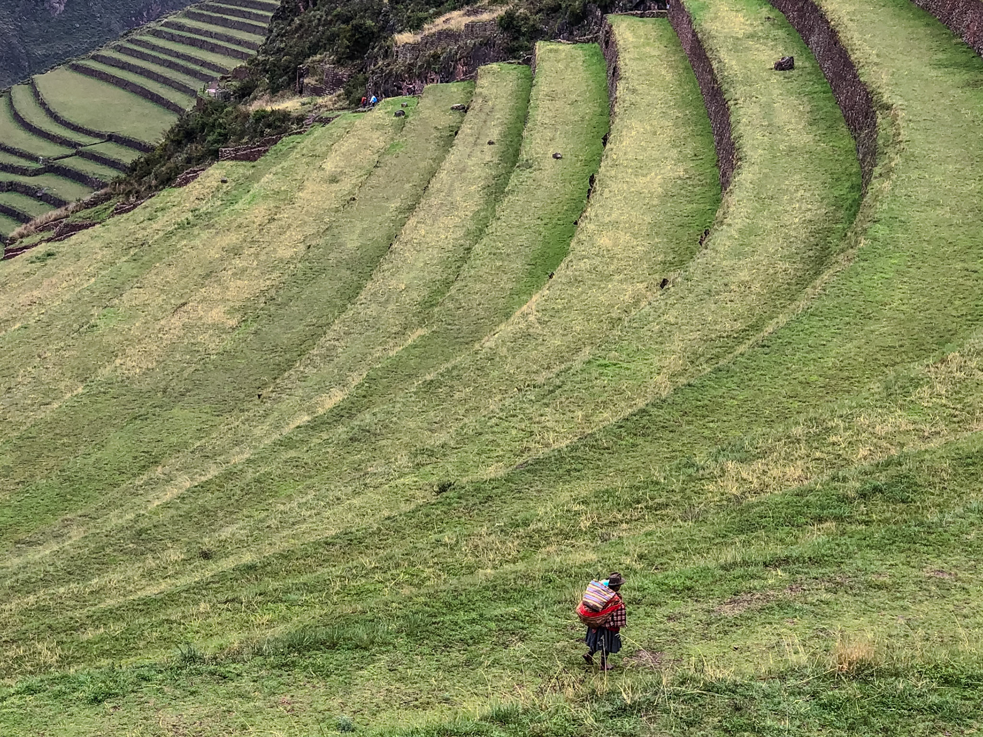 _2018-11-20__Apple__iPhone X__ iPhone X back dual camera 6mm f/2.4__f/2.4__1/120 sec__Q'Alla Q'Asa__Pisac__Peru__13°24'25.0992" S 71°50'36.0384" W