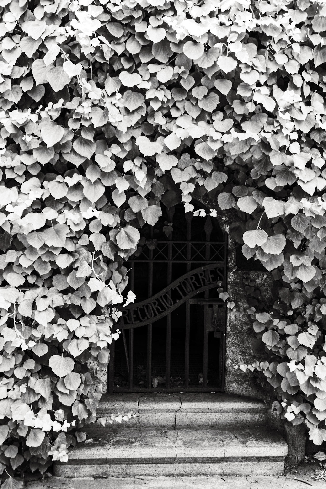 _2023-11-21__Canon__Canon EOS 5D Mark IV__ TAMRON 28-300mm F/3.5-6.3 Di VC PZD A010__f/5.6__1/60 sec__Avenida Alvear__Buenos Aires__Argentina__34°35'15.0288" S 58°23'35.0052" W