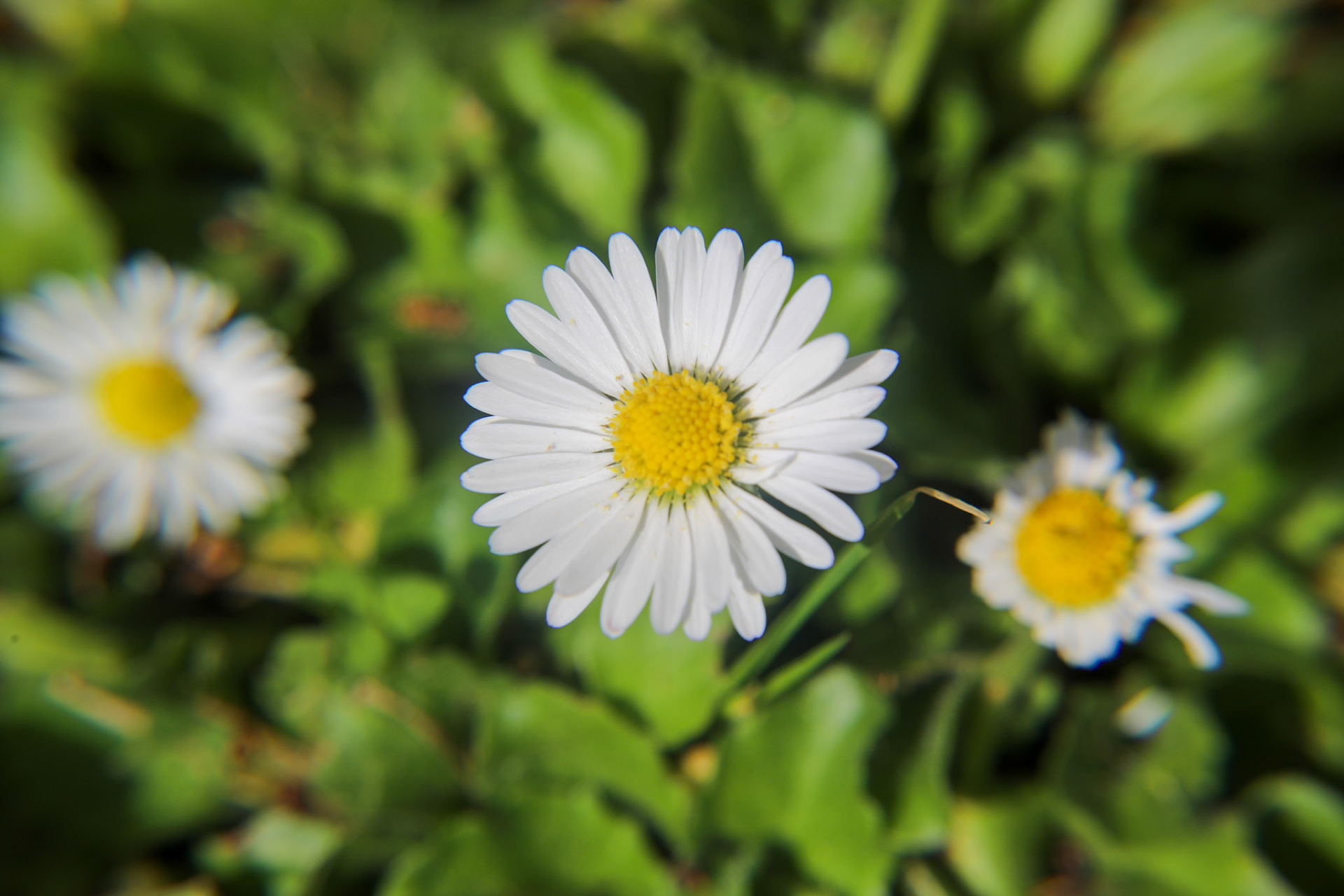 _2023-04-19__Canon__Canon EOS 5D Mark IV__ TAMRON 28-300mm F/3.5-6.3 Di VC PZD A010__f/11__1/320 sec________