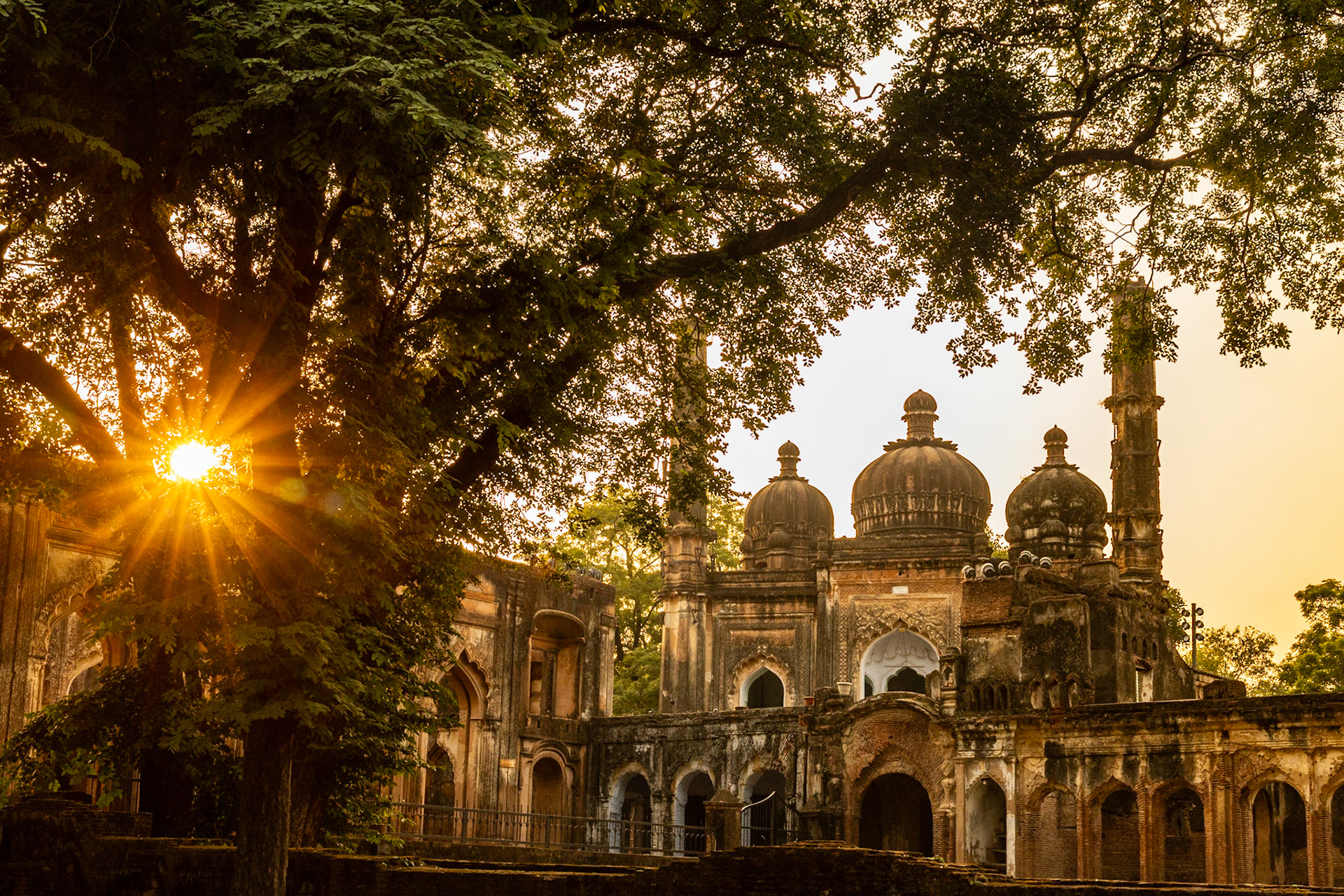 __2025-11-26__Canon__Canon EOS R3__ RF24-70mm F2.8 L IS USM__f/8__1/500 sec__Mahatma Gandhi Road__Lucknow__India__26°51'35.874" N 80°55'33.528" E