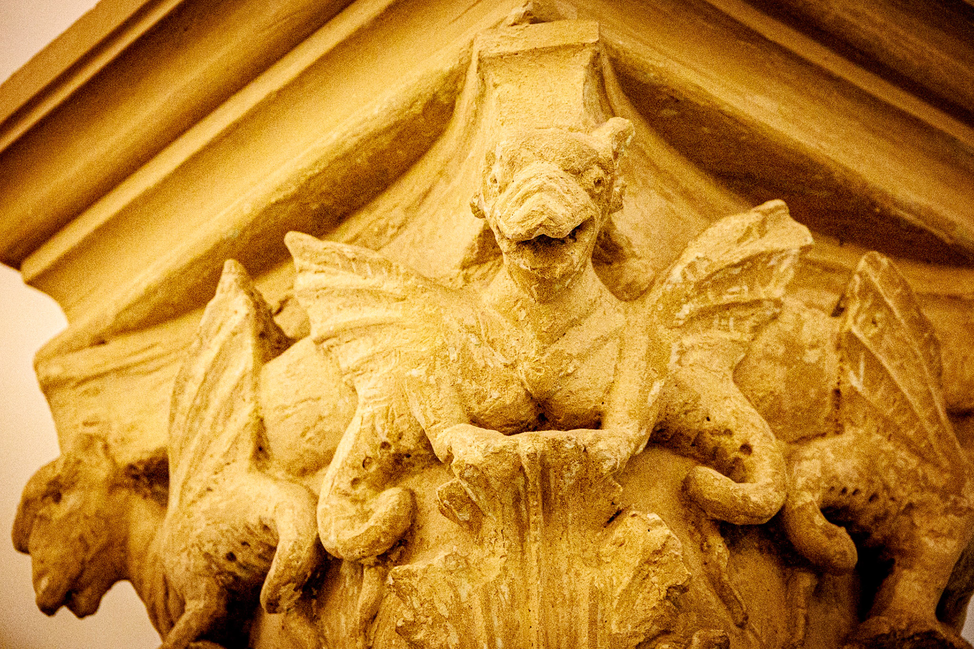 2024-09-11 16:40:40_RF24-240mm F4-6.3 IS USM_f/7.1_1/80 sec____