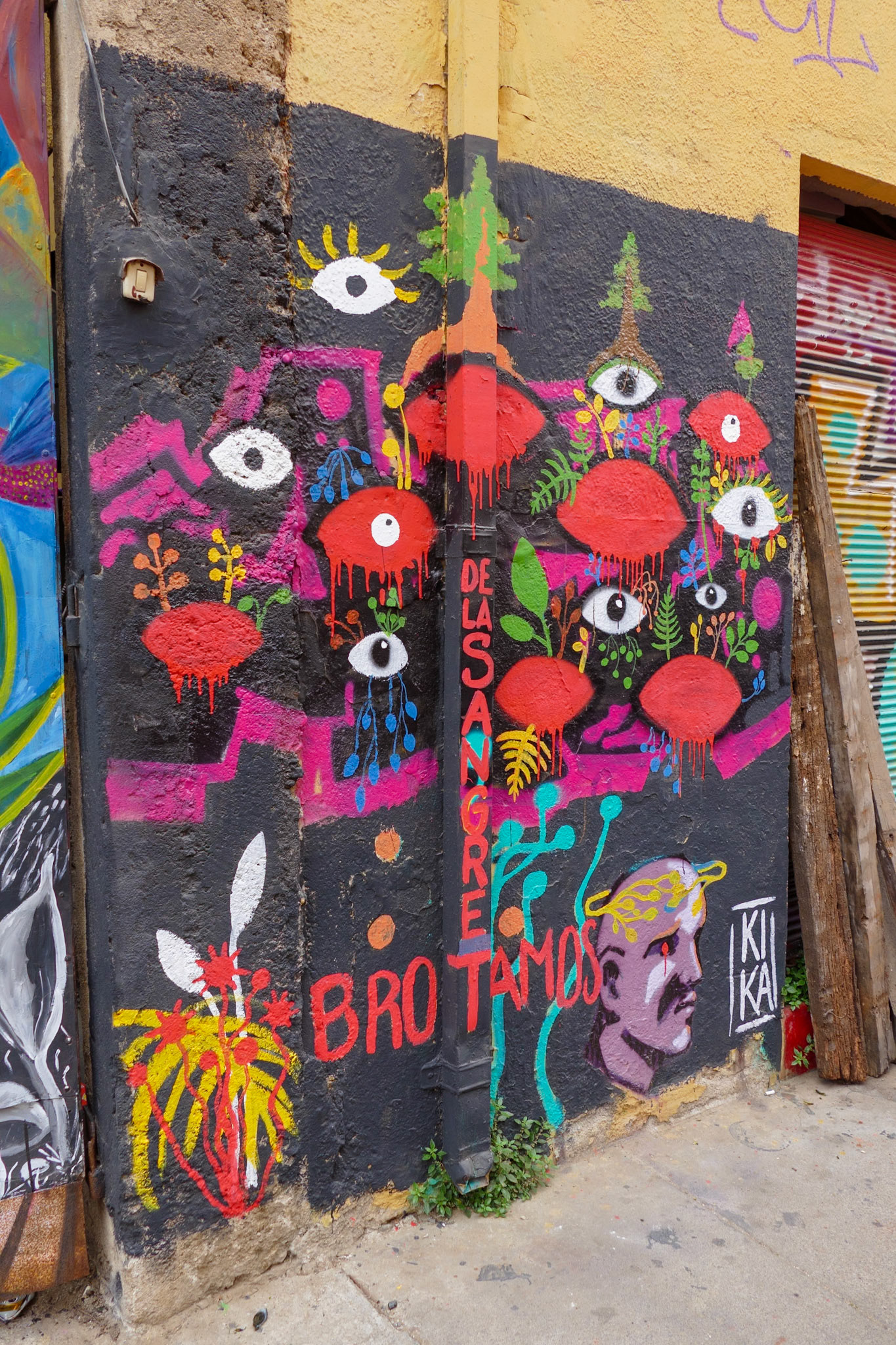 2020-01-21 14:18:14__f/2.9_1/500 sec__Valparaíso_Chile_