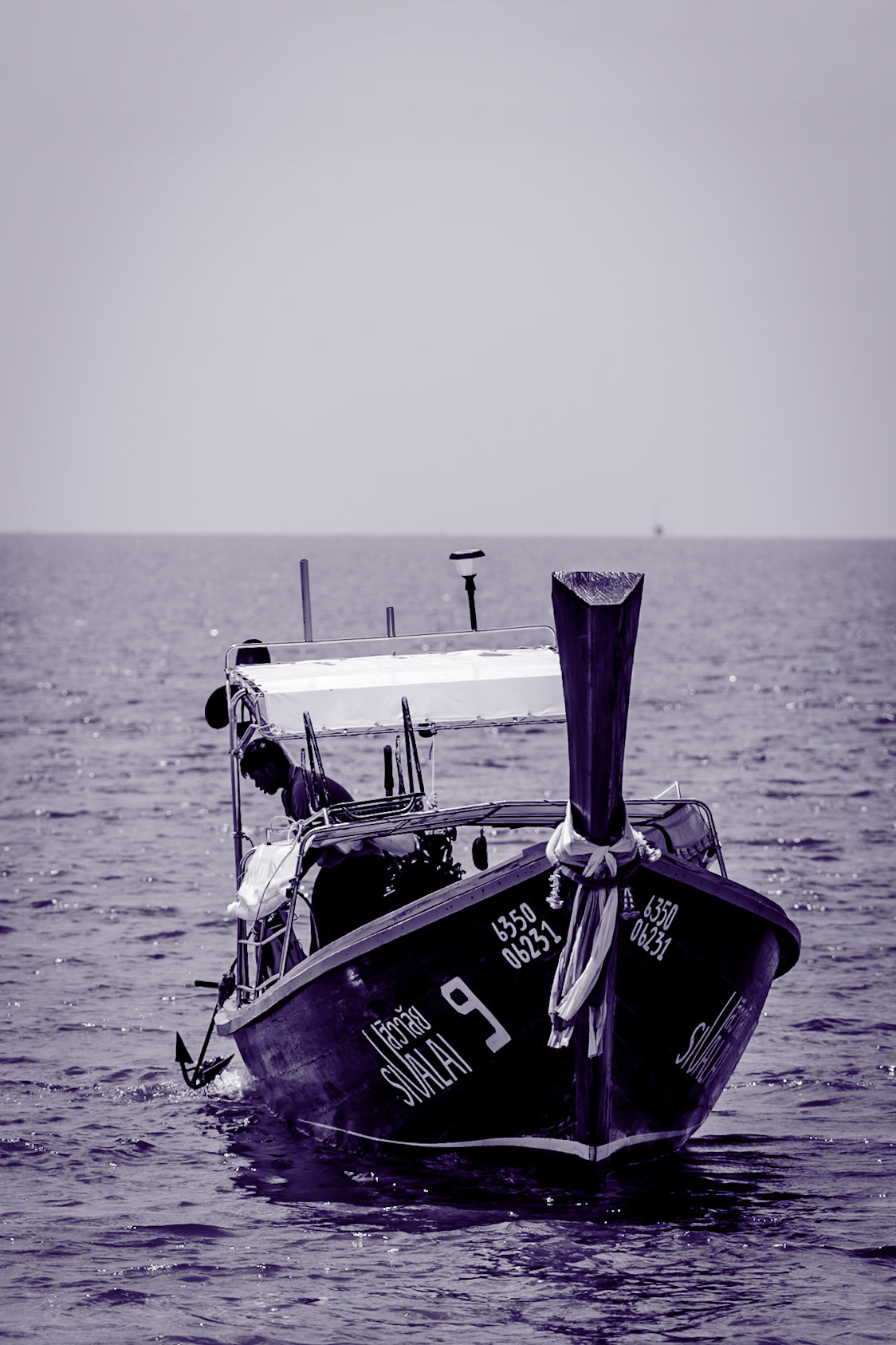 _2025-02-21__Canon EOS R3__ RF70-200mm F2.8 L IS USM__f/5__1/640 sec__Jungle Trek over View Point__Haad Lodung__Thailand__7°22'26.8608" N 99°18'52.74" E_