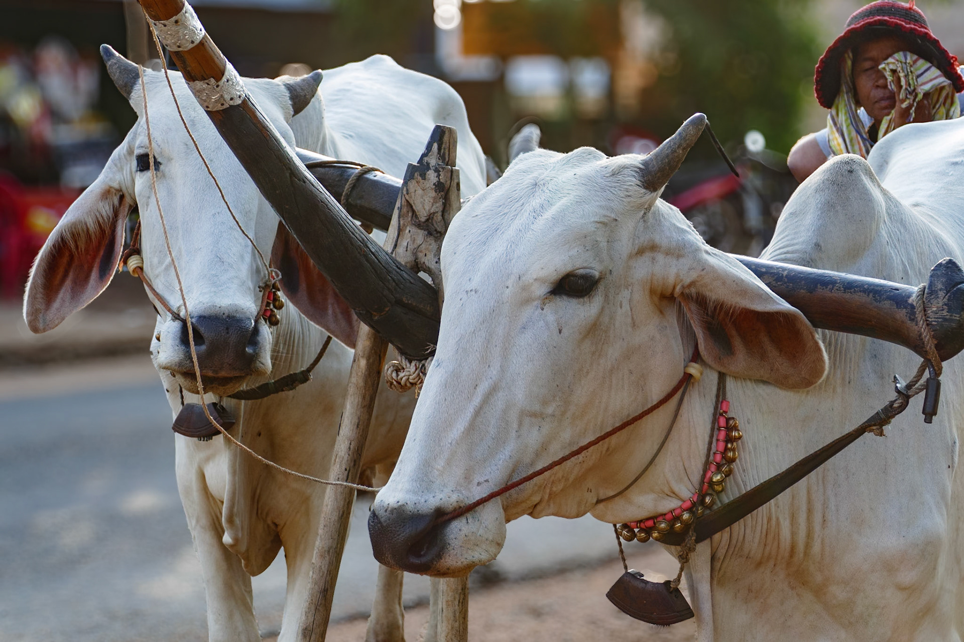 2019-09-25 16:41:43__f/3.6_1/250 sec_