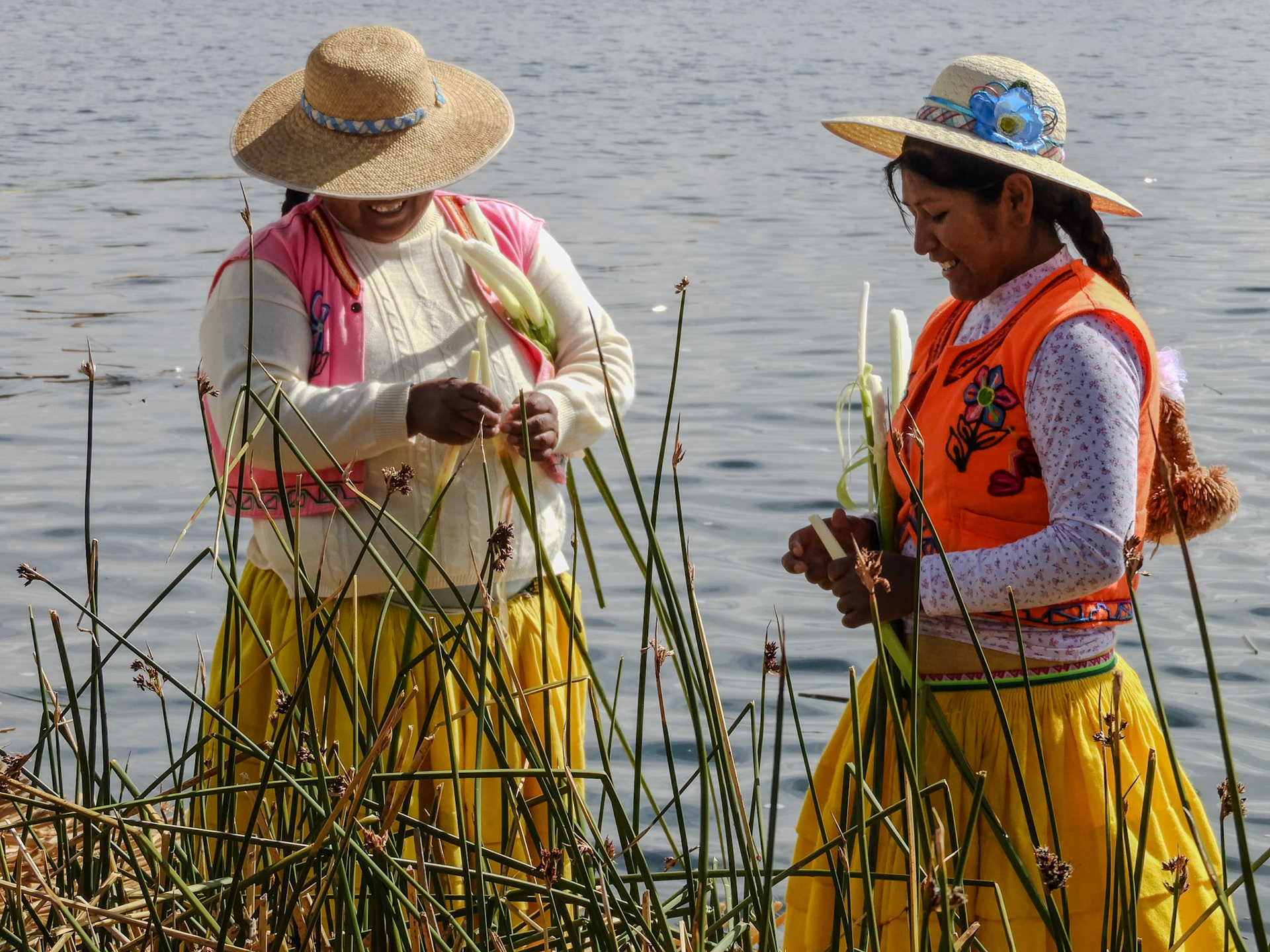 2018-10-31 08:09:54__f/5_1/800 sec_15°48'43.9632" S 69°58'31.2168" W