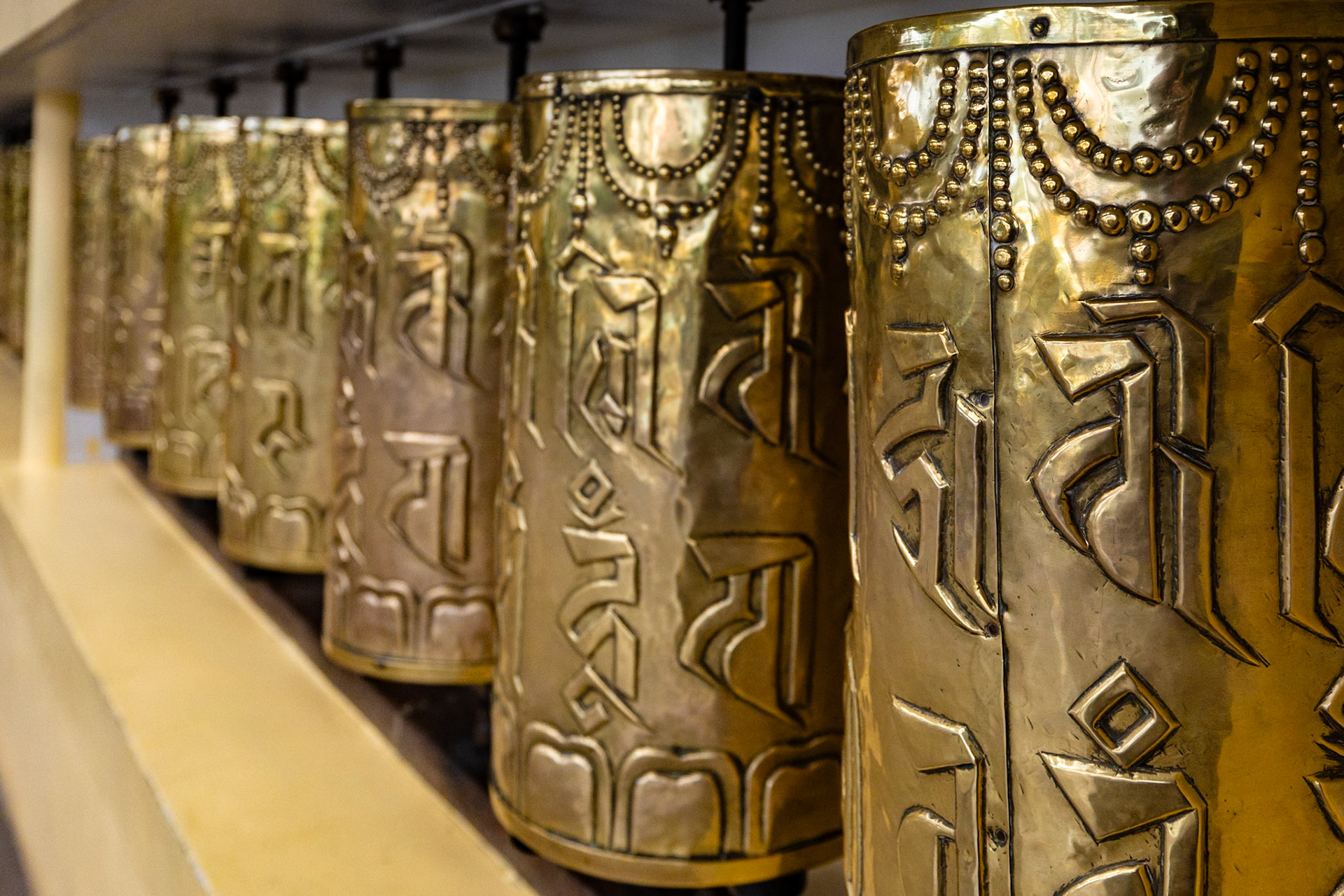 __2025-12-13__Canon__Canon EOS R3__ RF15-35mm F2.8 L IS USM__f/3.2__1/1000 sec__Potala Road__Dharamshala__India__32°13'58.8972" N 76°19'27.0912" E