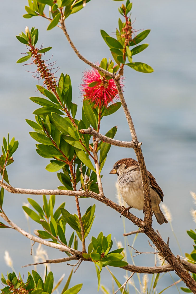 2024-09-17 11:19:27_RF24-240mm F4-6.3 IS USM_f/7.1_1/400 sec_42°28'5.0808" N 18°45'47.6892" E