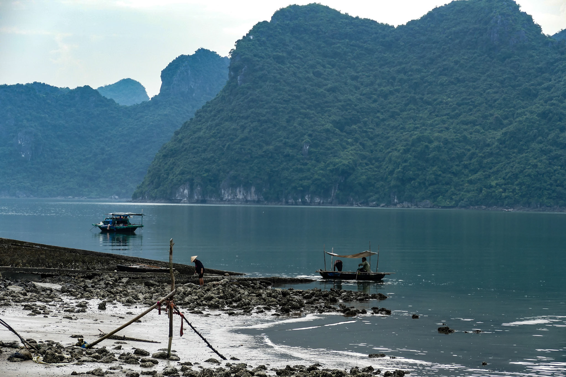 _2019-09-05__DMC-FZ1000__ __f/3.9__1/500 sec_________