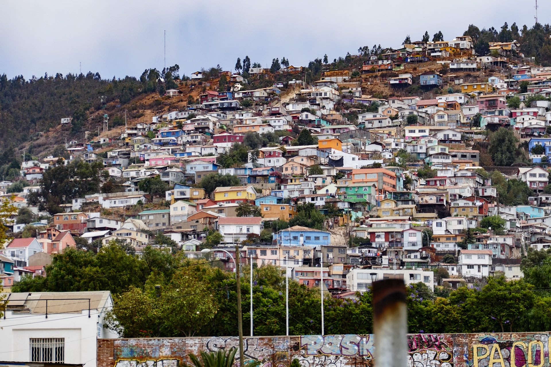 _2020-01-21__Panasonic__DMC-FZ1000__ __f/4__1/1000 sec__Cerro Concepción__Valparaíso__Chile__33°2'38.7096" S 71°37'38.928" W