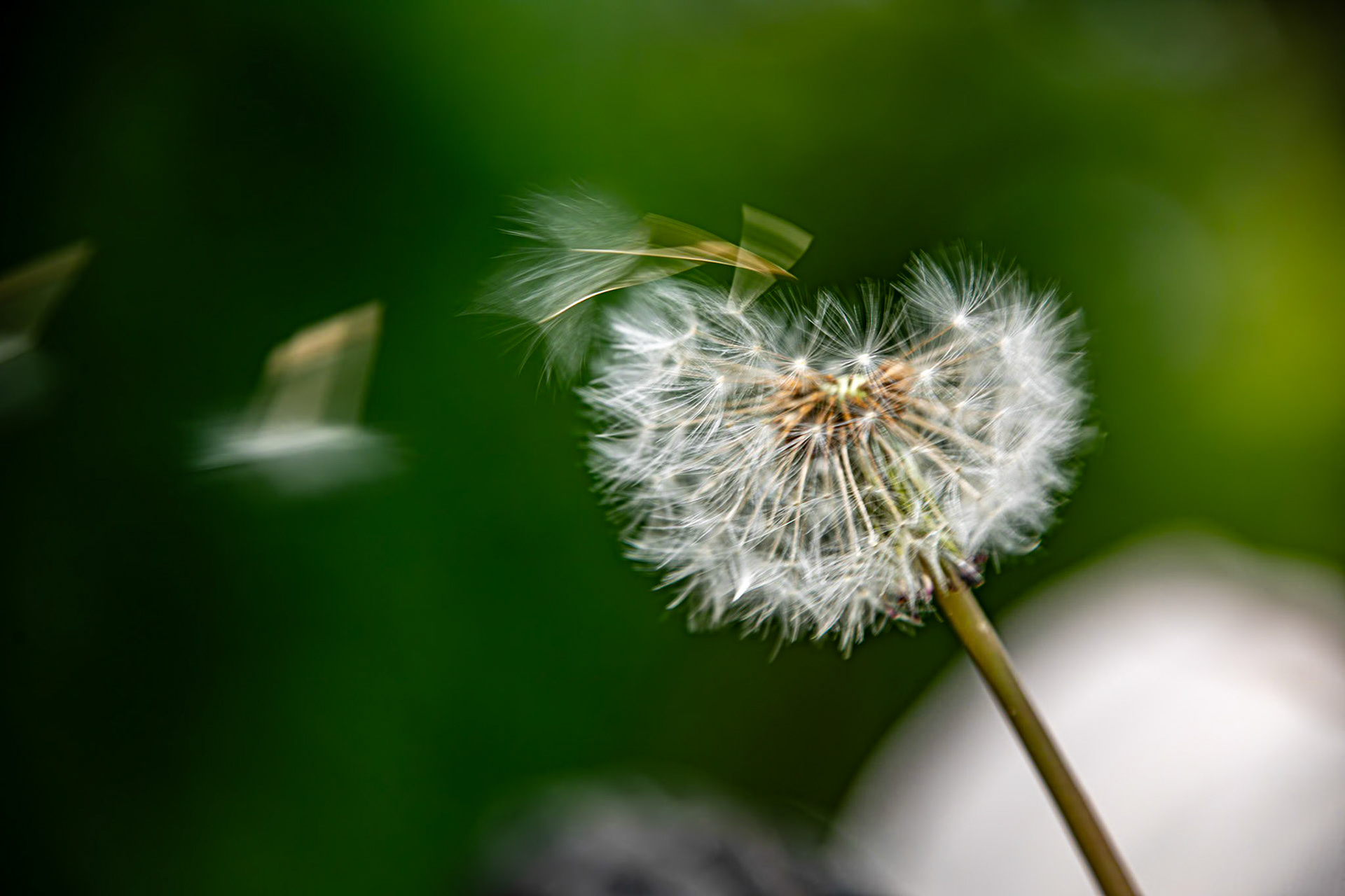 _2023-05-19__Canon__Canon EOS 5D Mark IV__ TAMRON 28-300mm F/3.5-6.3 Di VC PZD A010__f/7.1__1/250 sec__Staines Road__Wraysbury__England__