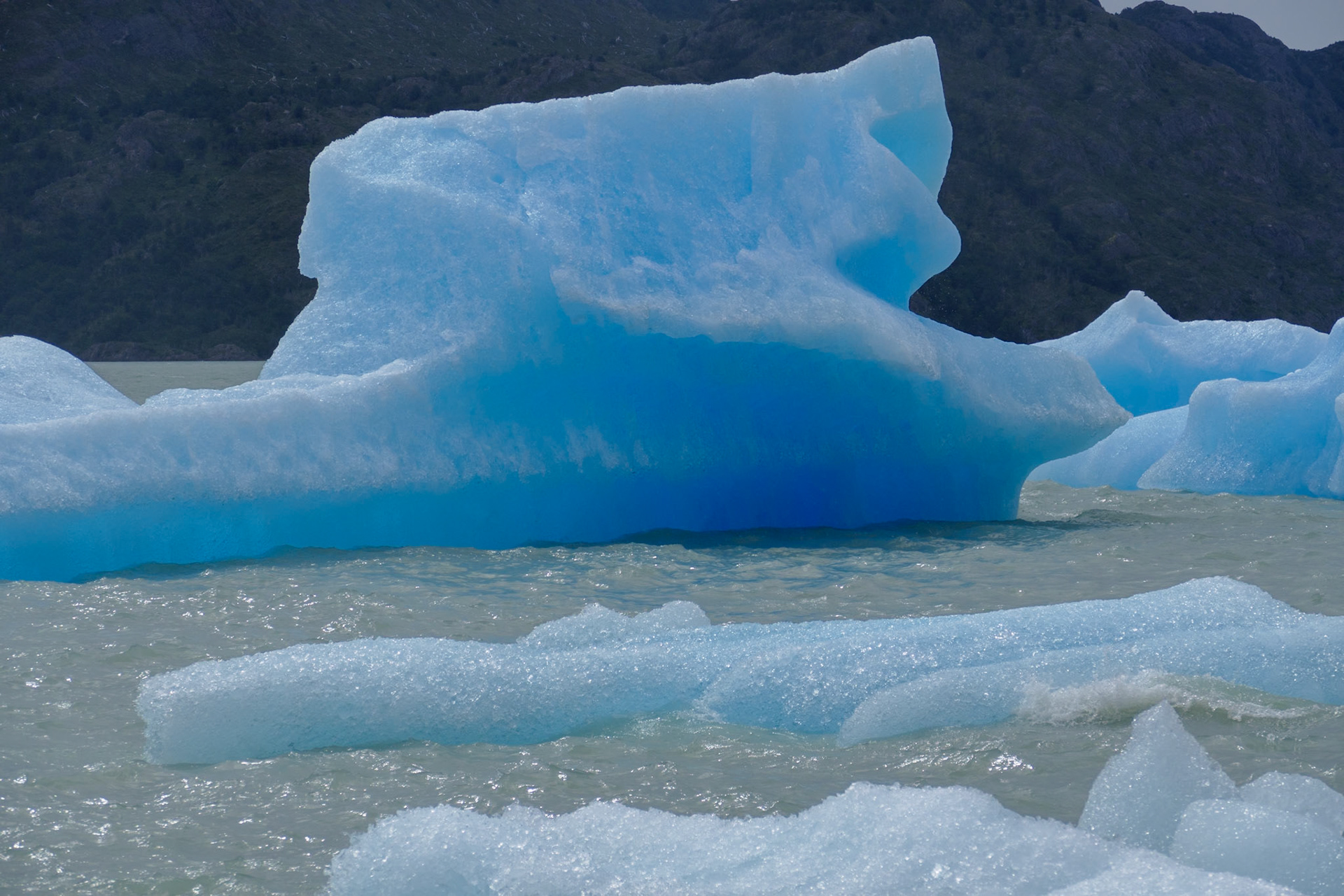 _2020-01-09__Panasonic__DMC-FZ1000__ __f/3.9__1/2000 sec__Sendero Mirador Grey__Torres del Paine__Chile__51°6'55.5444" S 73°6'56.2716" W