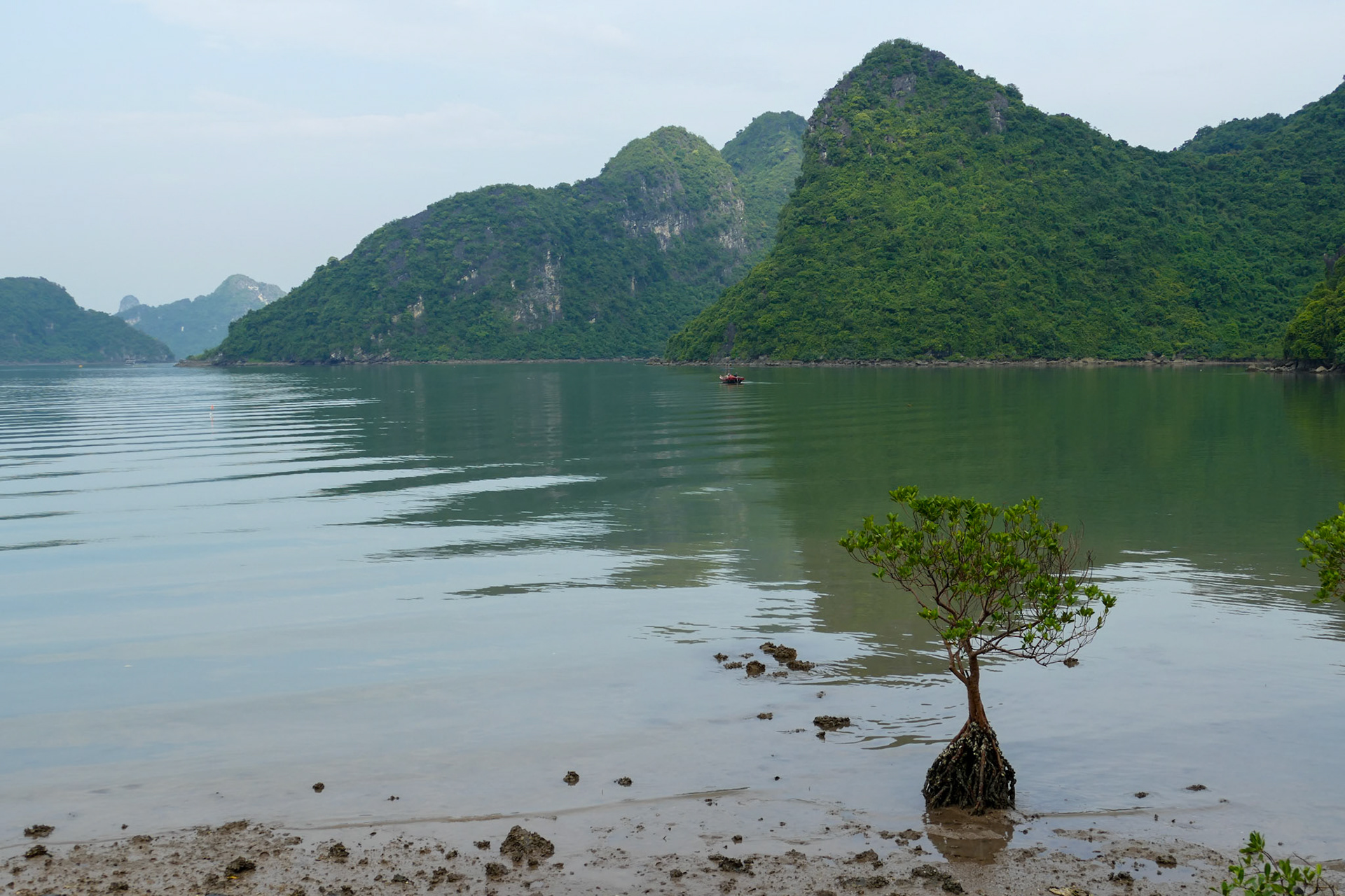 2019-09-05 15:43:27__f/3.2_1/800 sec_