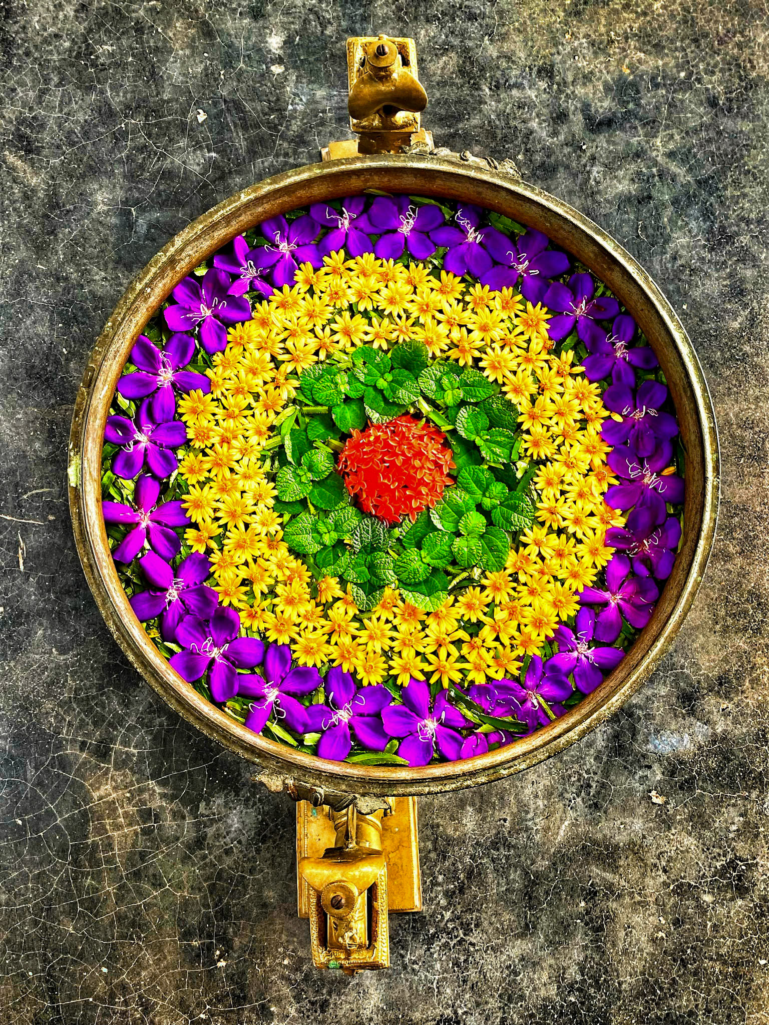 _2022-11-12__iPhone 11 Pro__ iPhone 11 Pro back triple camera 4.25mm f/1.8__f/1.8__1/120 sec_________