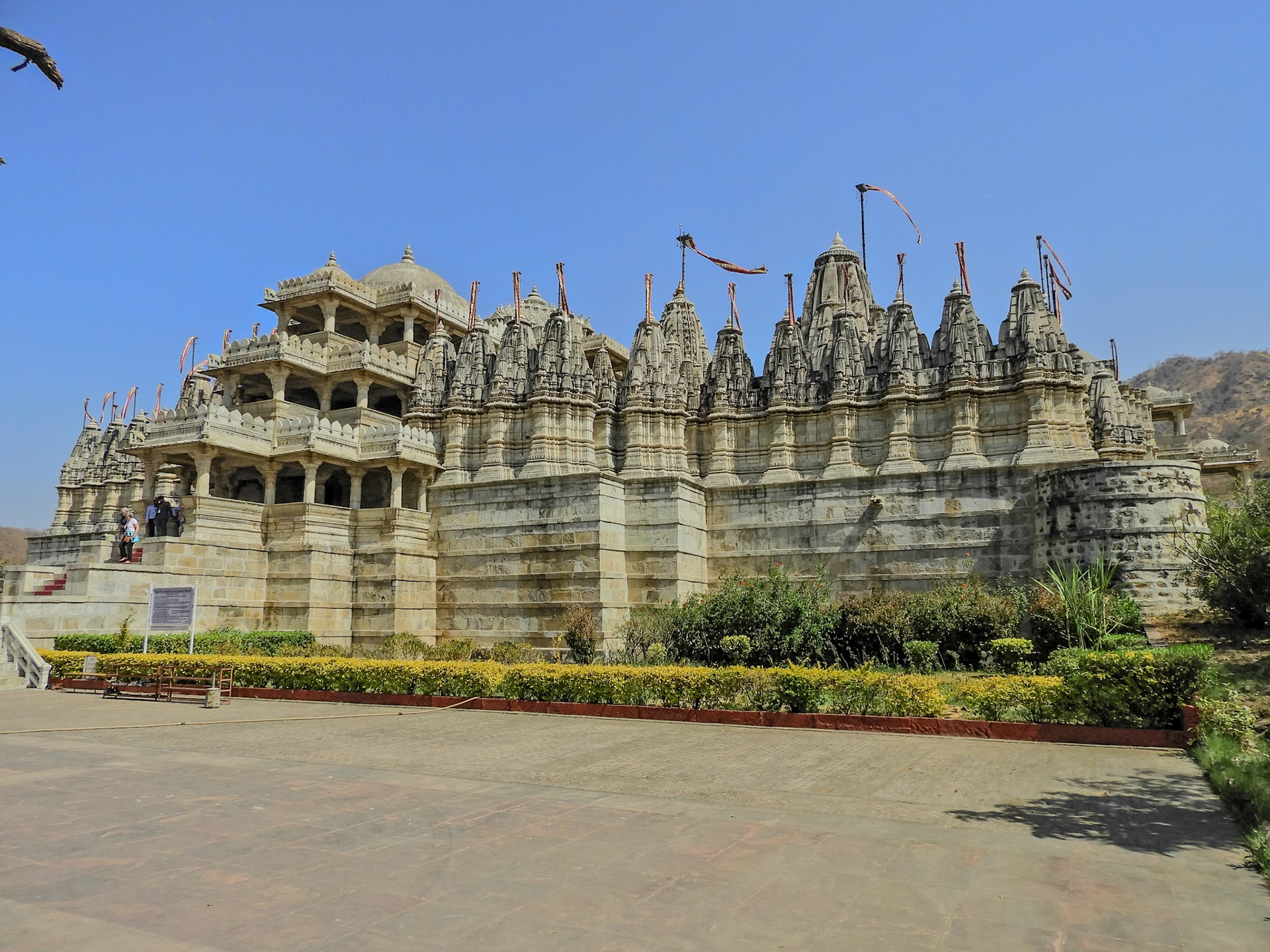 2018-02-22 13:16:58__f/3.3_1/2000 sec__Desuri Tehsil_India_25°6'58.896" N 73°28'17.9292" E