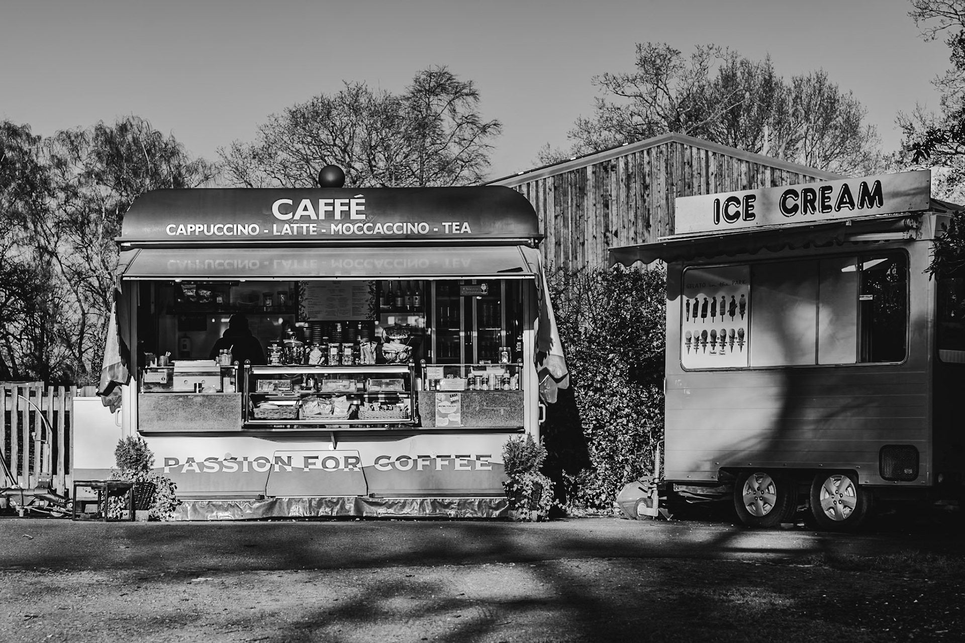 _2025-01-07__Canon EOS R3__ RF28-70mm F2.8 IS STM__f/5.6__1/320 sec_________