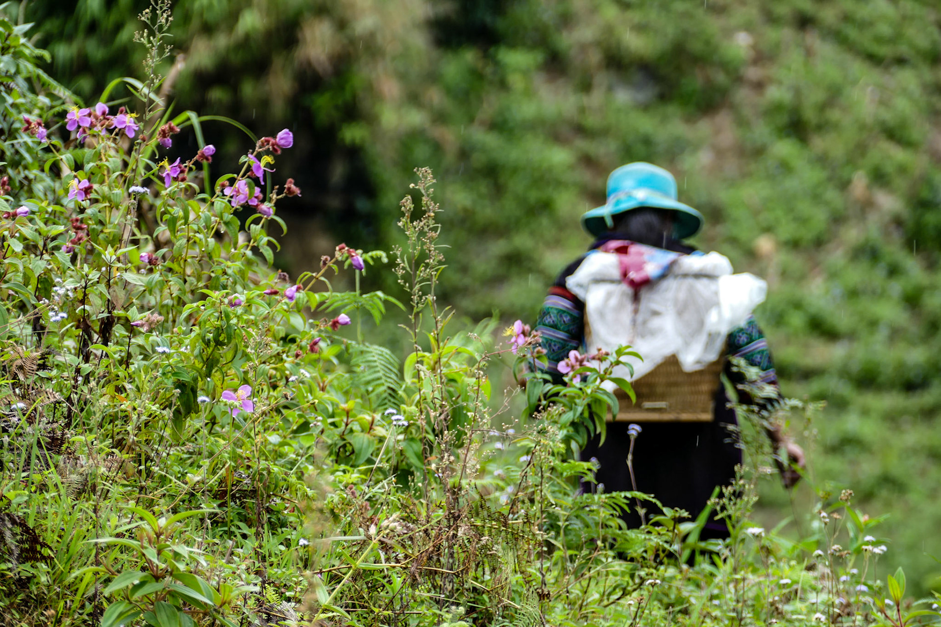 _2019-09-09__DMC-FZ1000__ __f/4__1/320 sec_________