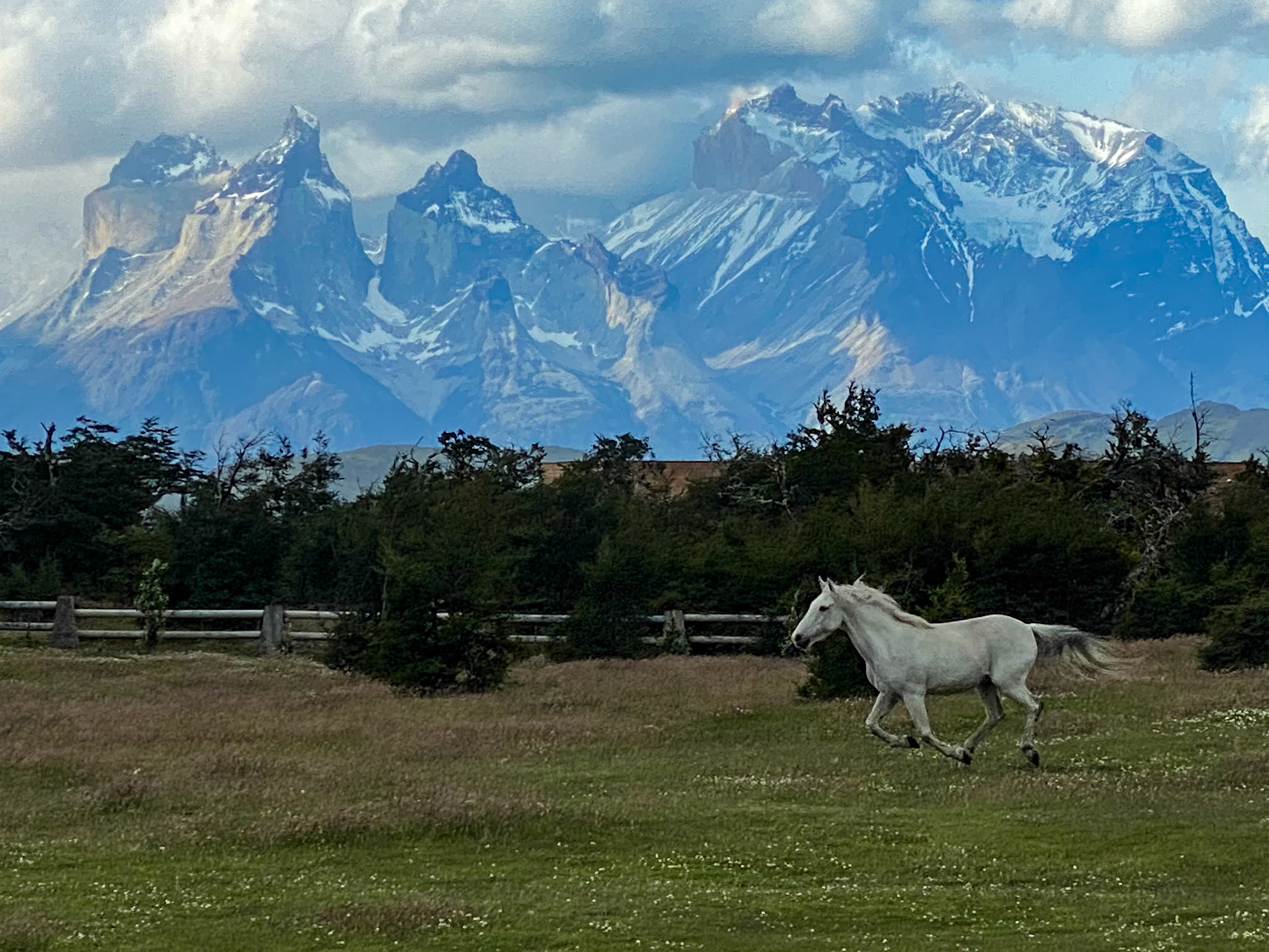 2020-01-09 19:16:21_iPhone 11 Pro back triple camera 6mm f/2_f/2_1/1000 sec_