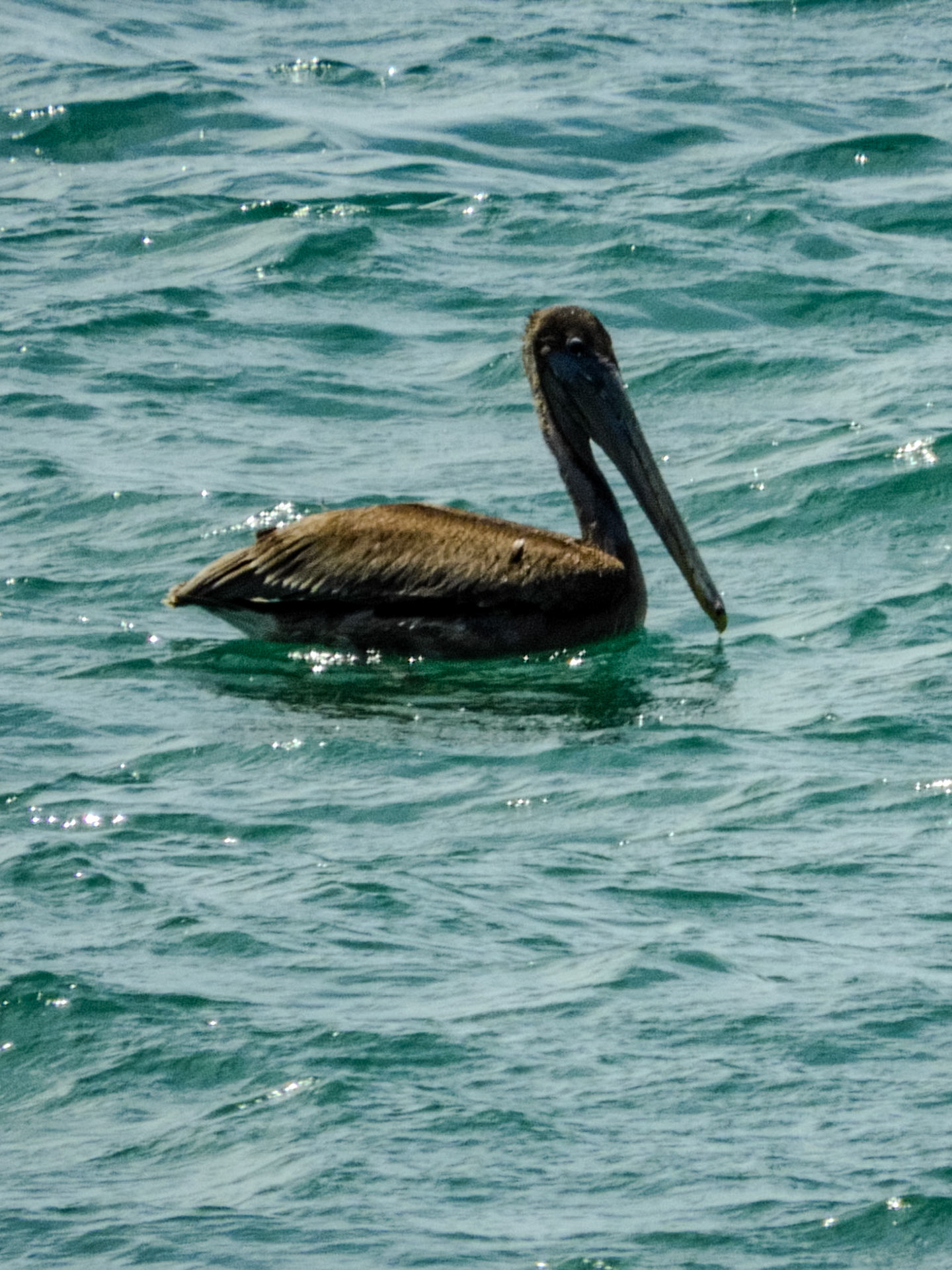 2018-10-22 13:31:44__f/6.5_1/500 sec____