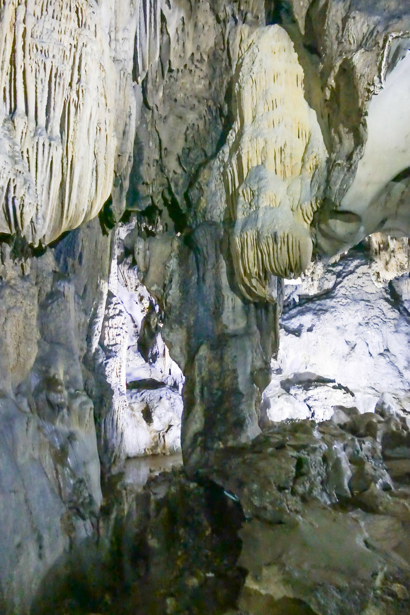 2019-09-05 15:09:52__f/2.8_1/15 sec_