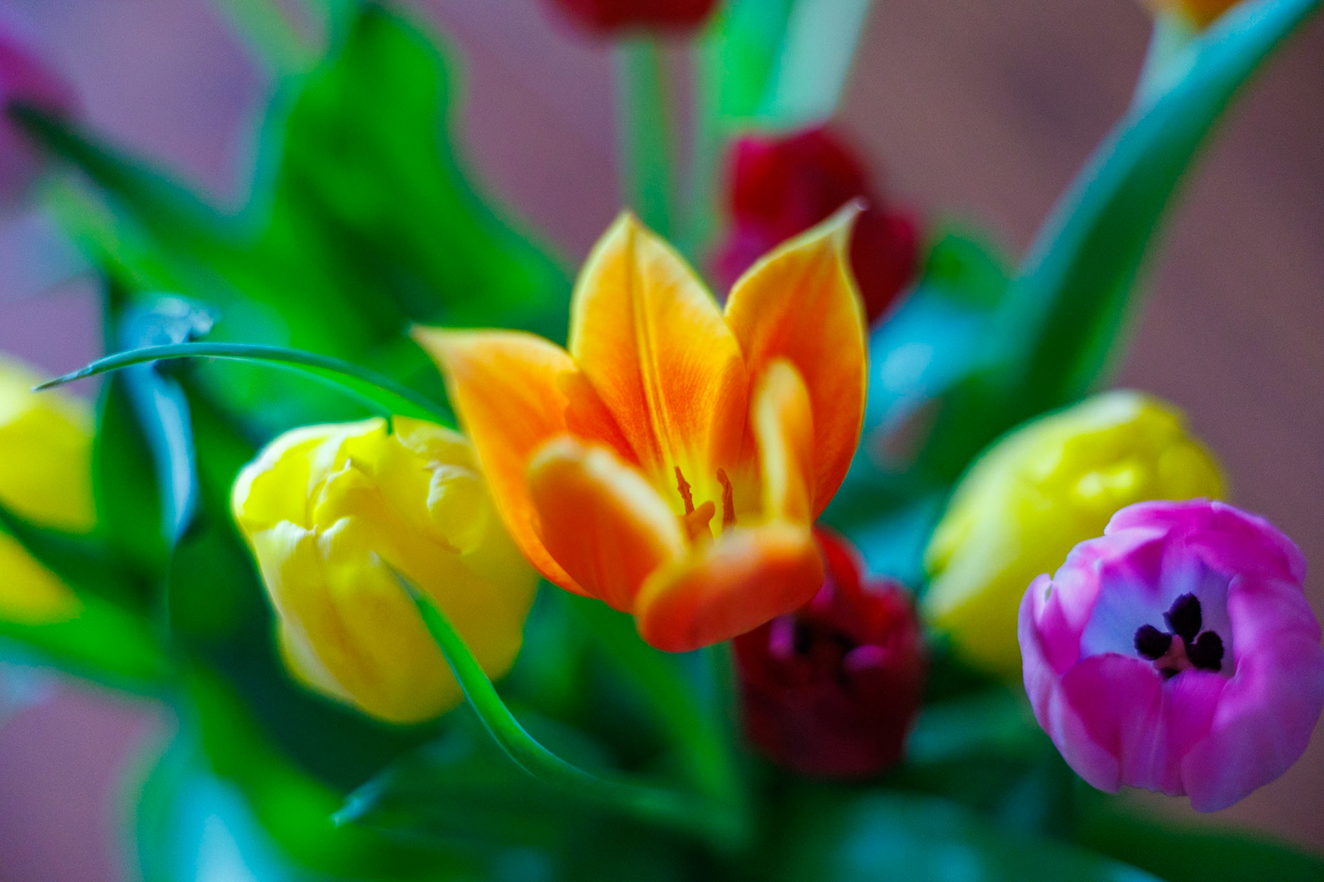 2025-04-16 00:53:14_RF28-70mm F2.8 IS STM_f/2.8_1/100 sec______51°27'18.1548" N 0°33'18.2232" W