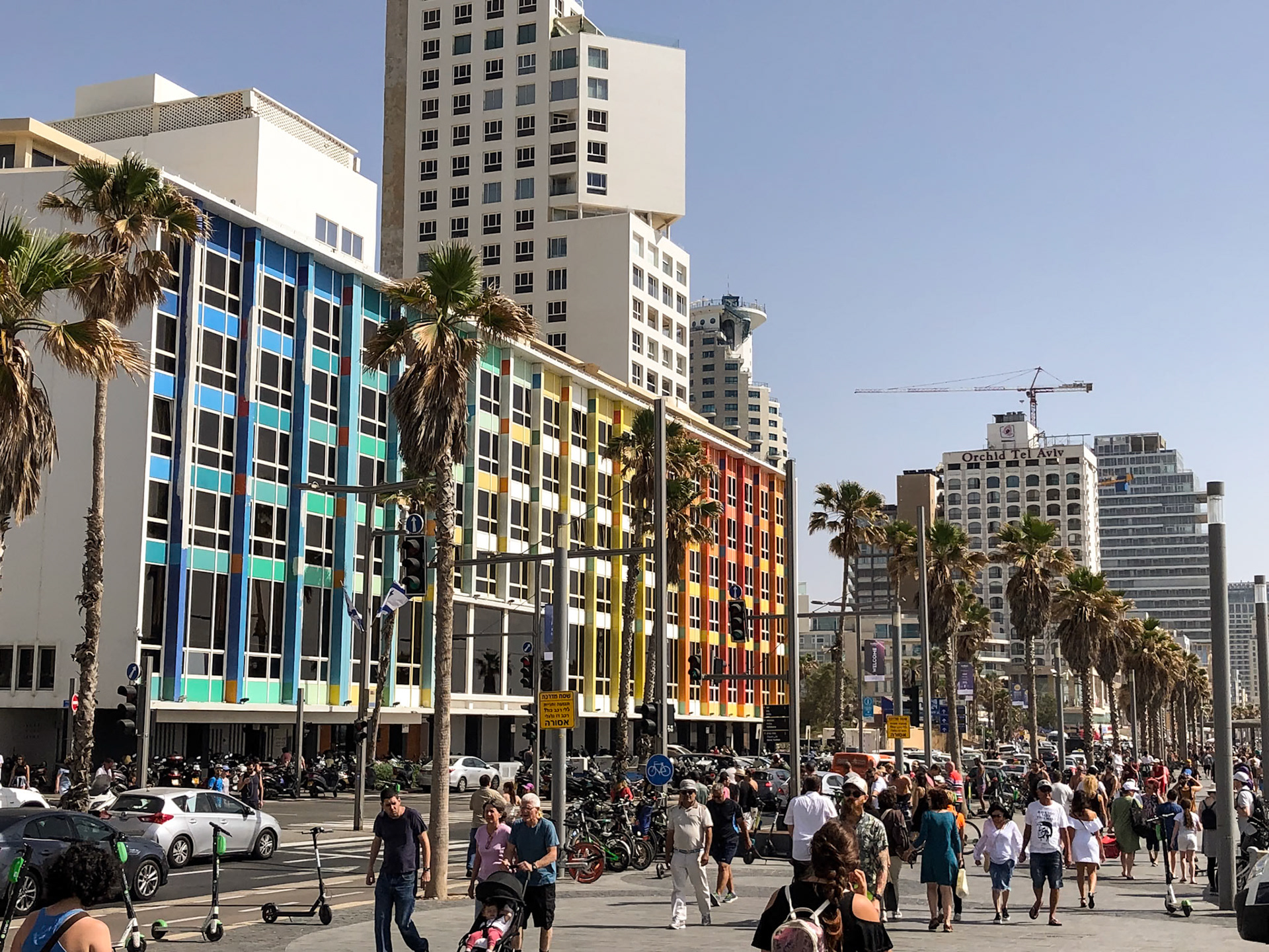 _2019-05-18__iPhone X__ iPhone X back dual camera 4mm f/1.8__f/1.8__1/2700 sec_________