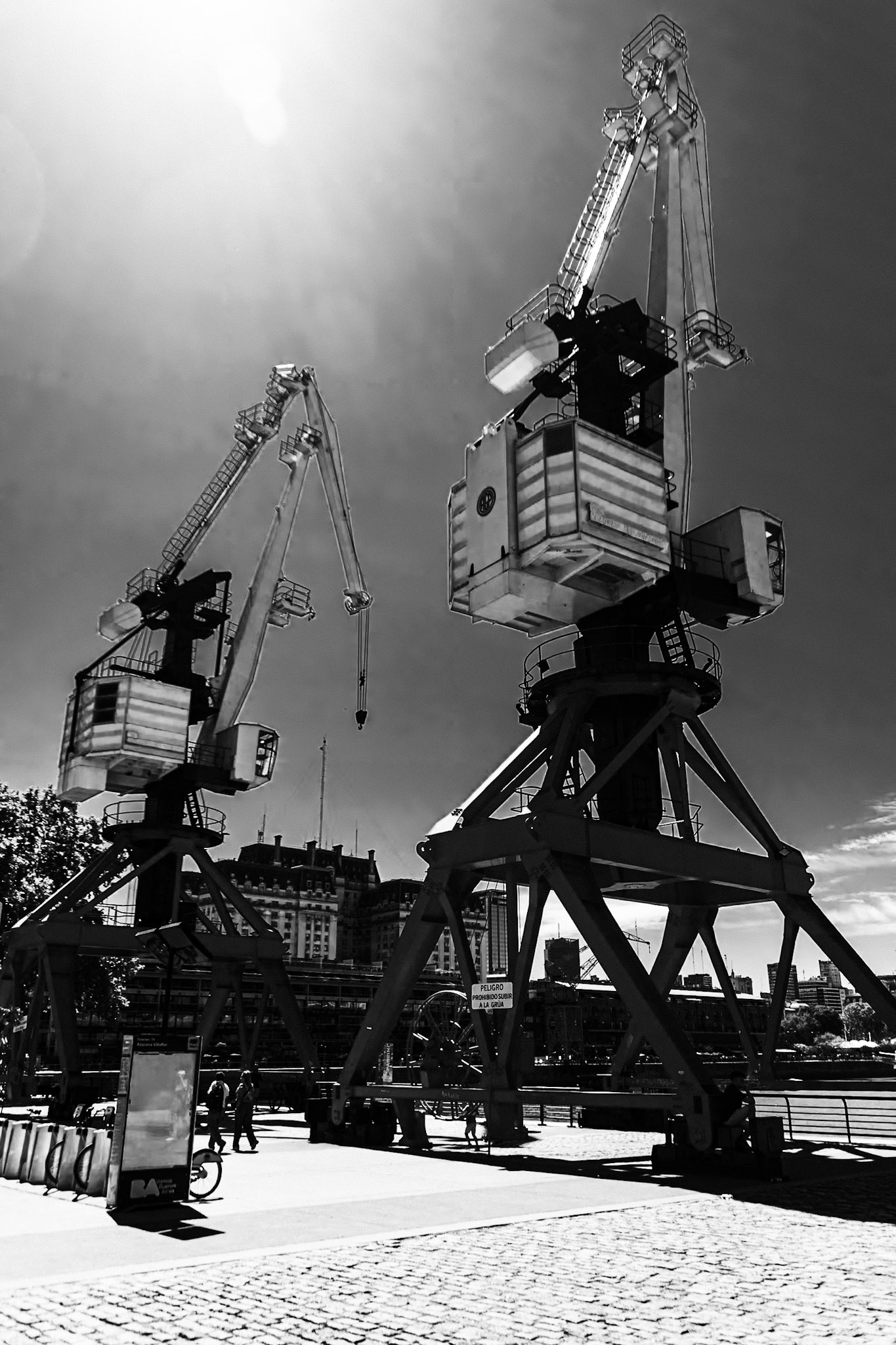 _2023-11-25__Canon__Canon EOS 5D Mark IV__ TAMRON 28-300mm F/3.5-6.3 Di VC PZD A010__f/5__1/1600 sec__Juana Manso__Buenos Aires__Argentina__34°36'42.8868" S 58°21'49.7052" W