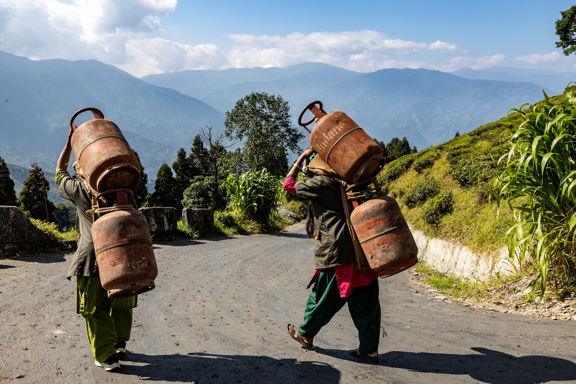 __2025-11-15__Canon__Canon EOS R3__ RF15-35mm F2.8 L IS USM__f/11__1/1000 sec____Darjeeling__India__27°3'1.4328" N 88°15'37.2708" E