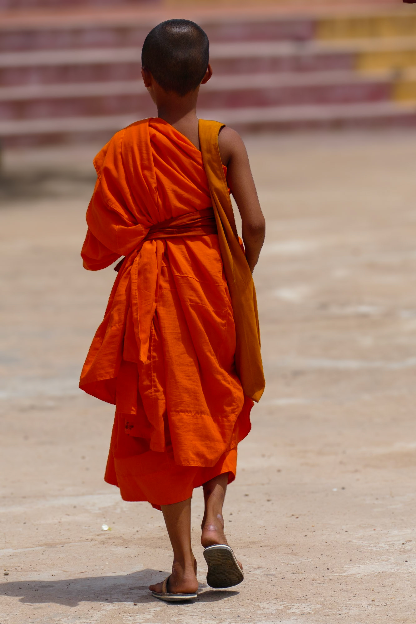 _2019-09-26__Panasonic__DMC-FZ1000__ __f/4__1/2000 sec________