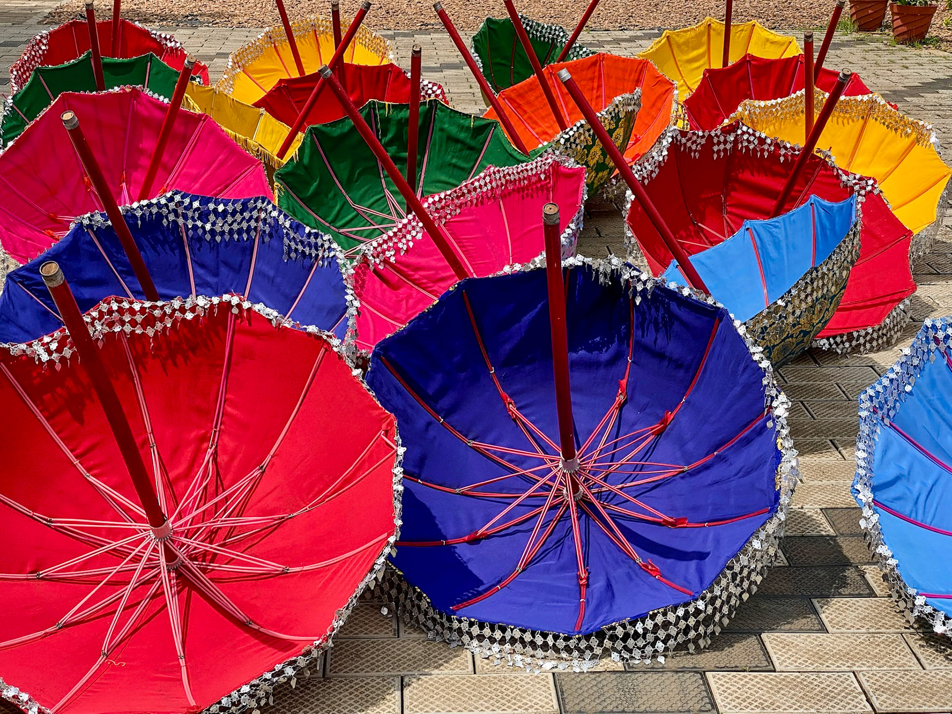 _2022-11-03__iPhone 11 Pro__ iPhone 11 Pro back triple camera 6mm f/2__f/2__1/1800 sec____Alleppey &amp; Kerala Backwaters__India___