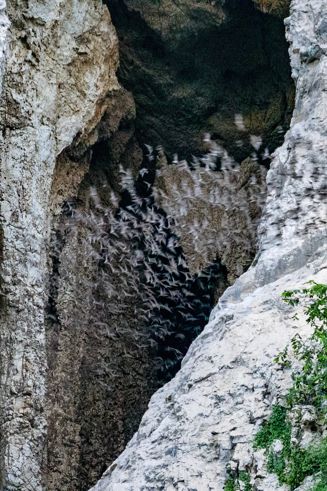 _2019-10-02__Panasonic__DMC-FZ1000__ __f/3.9__1/80 sec________