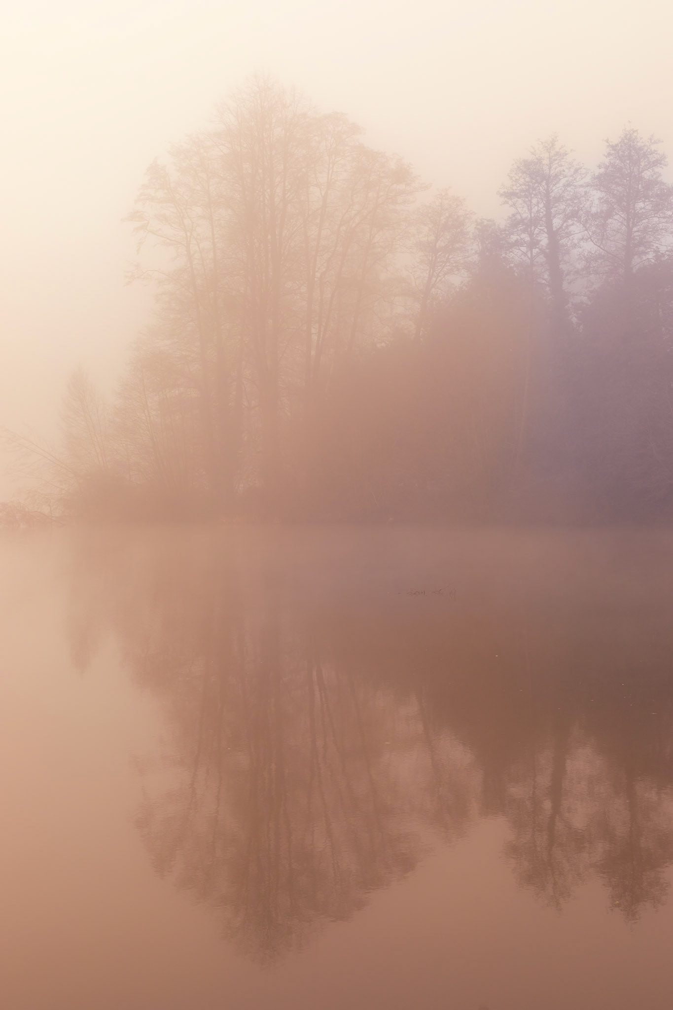 2023-02-08 12:31:33_EF50mm f/1.8 STM_f/7.1_1/250 sec_51°24'49.3128" N 0°36'41.5692" W