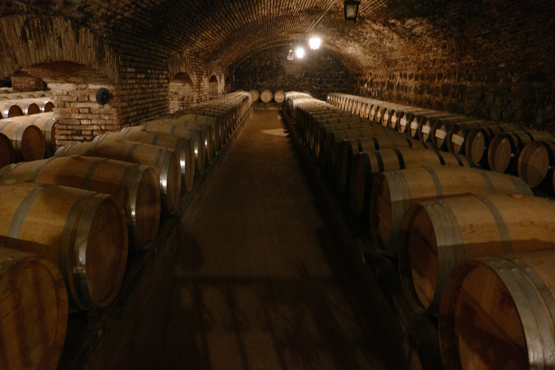 2020-01-19 16:06:42_FZ1000 24-400mm_f/2.8_1/4 sec_