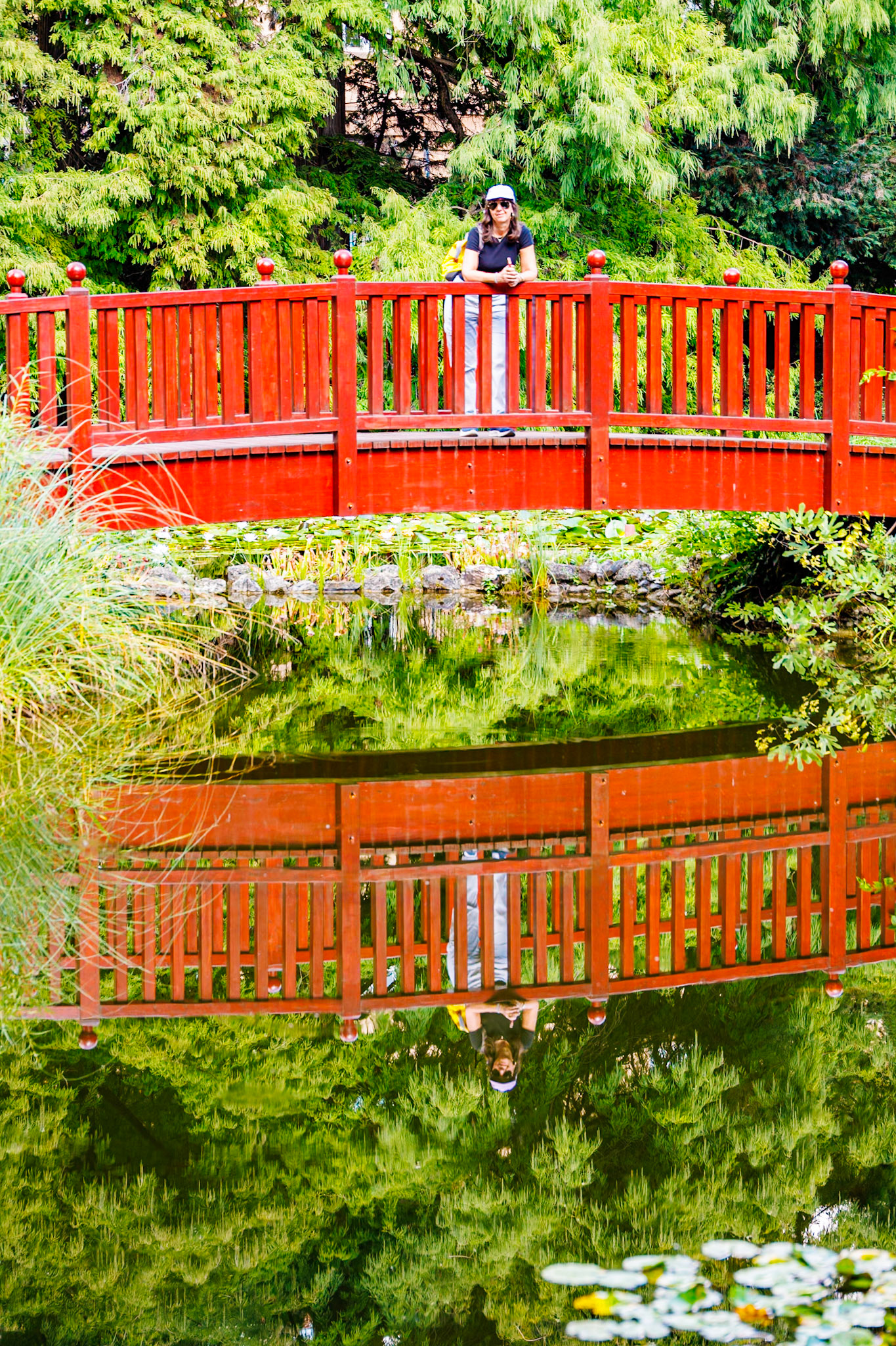 _2024-09-25__Canon__Canon EOS R3__ RF24-240mm F4-6.3 IS USM__f/5.6__1/100 sec__Mihanovićeva ulica__City of Zagreb__Croatia__45°48'19.1088" N 15°58'23.628" E