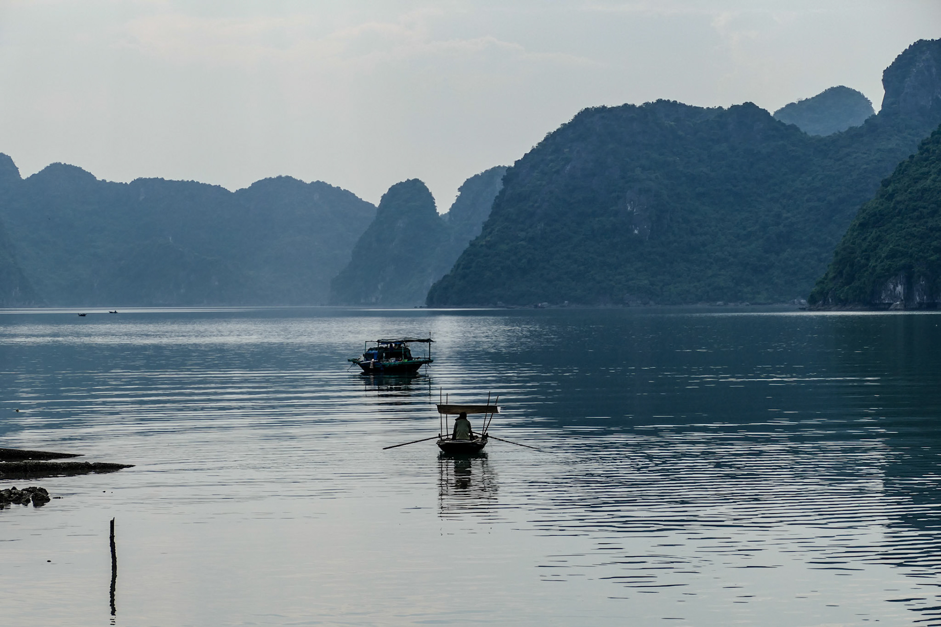 2019-09-05 15:45:12__f/3.9_1/1000 sec_