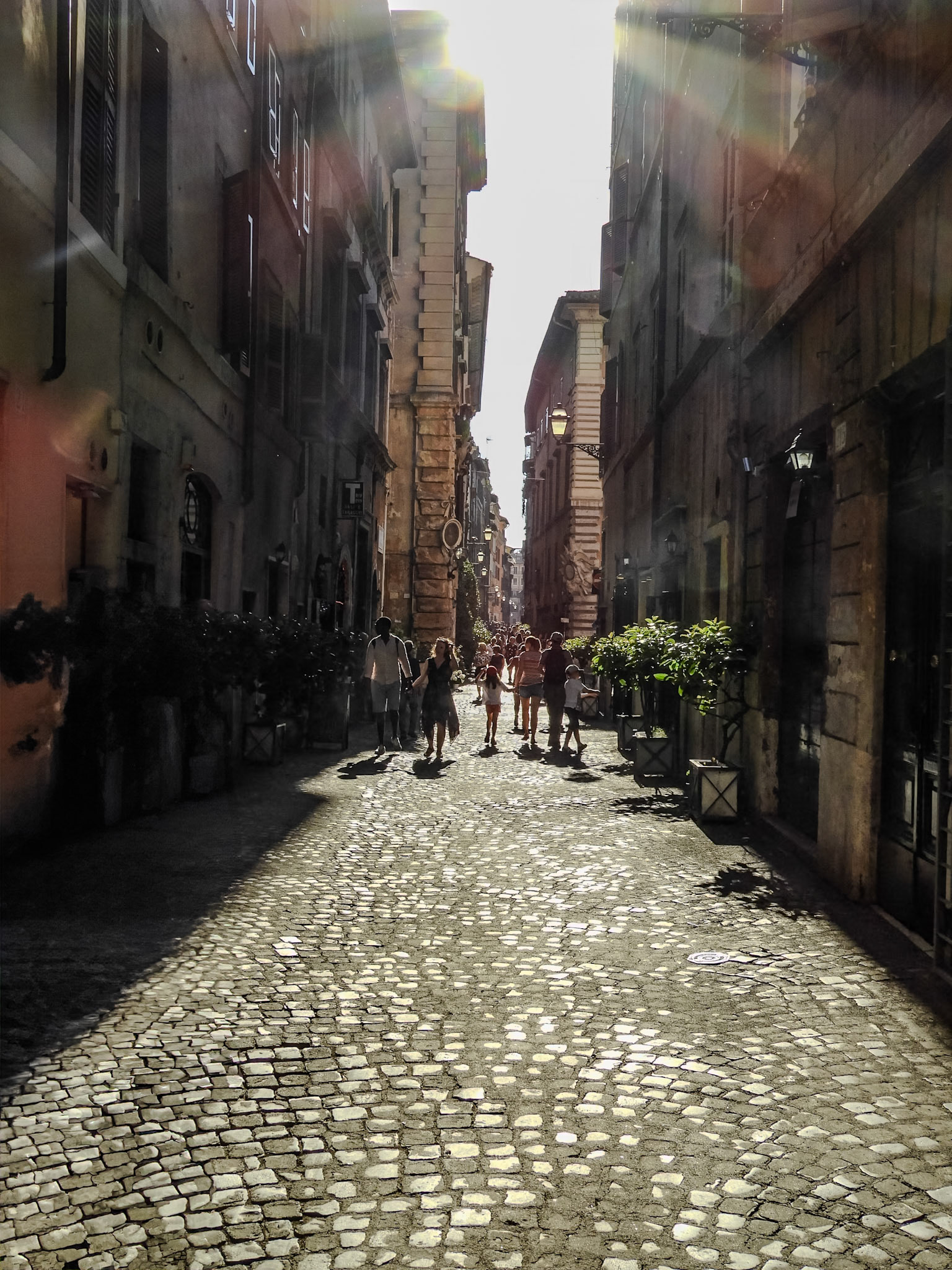 _2018-05-11__Coolpix B700__ __f/3.8__1/1250 sec__Pista ciclabile del Tevere__Rome__Italy__41°54'2.3868" N 12°28'17.454" E_