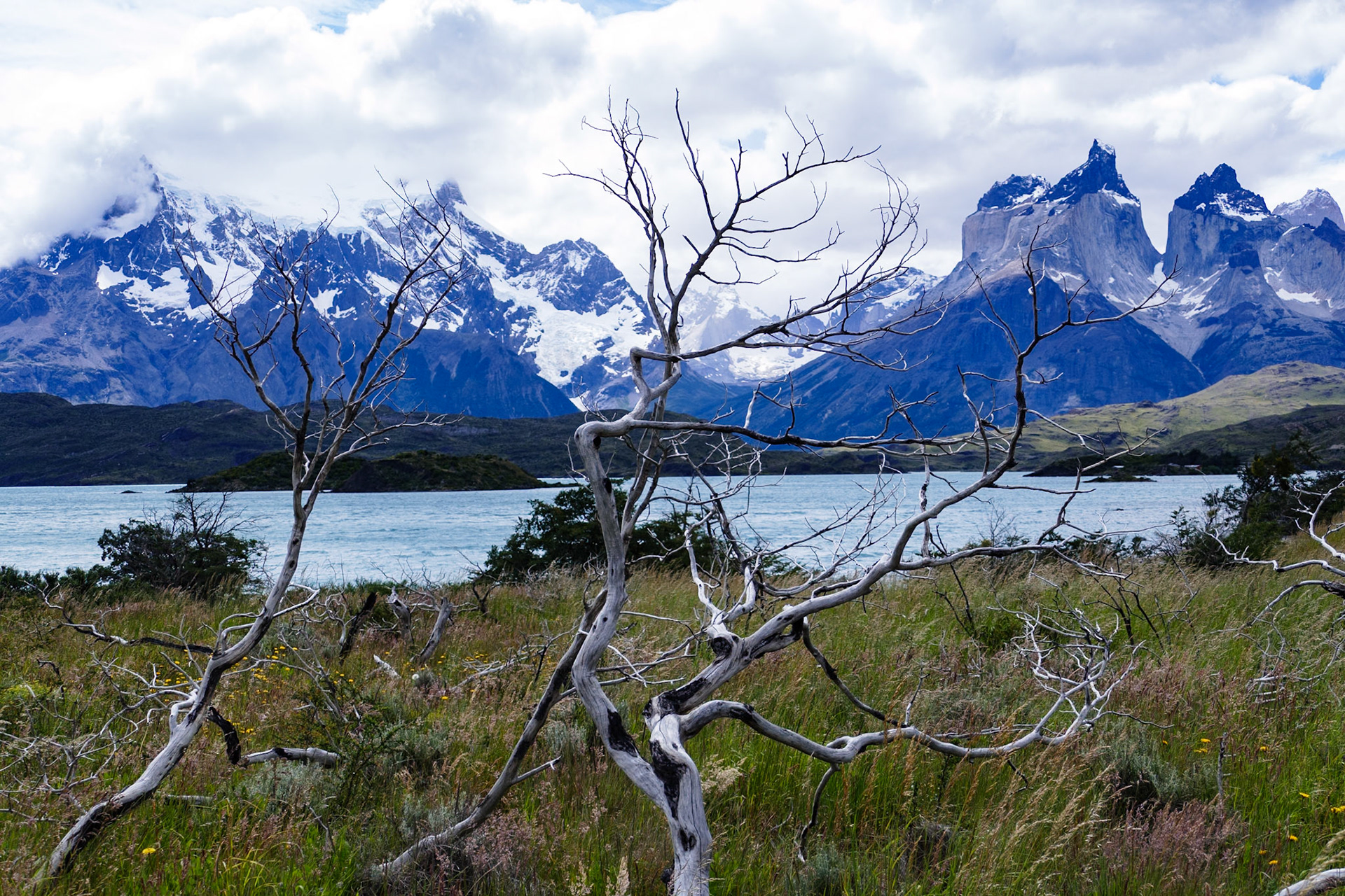 _2020-01-07__Panasonic__DMC-FZ1000__ __f/3.2__1/1600 sec__Camping Sodexo__Torres del Paine__Chile__51°6'22.5576" S 72°59'2.9796" W