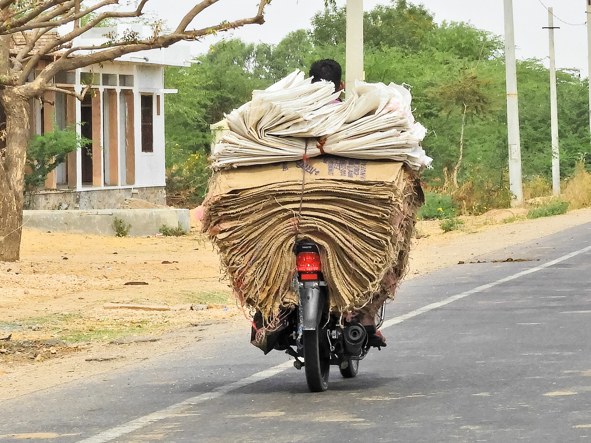 _2018-02-23__Nikon__Coolpix B700__ __f/4.8__1/800 sec__NH162__Tewali Khurd__India__25°35'23.6112" N 73°23'9.3048" E