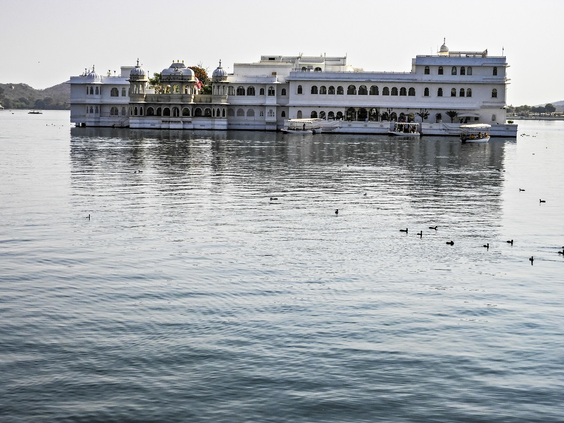 _2018-02-20__Coolpix B700__ __f/4.2__1/1600 sec__Jagdish Temple Road__Udaipur__India__24°34'34.1472" N 73°40'56.1612" E_