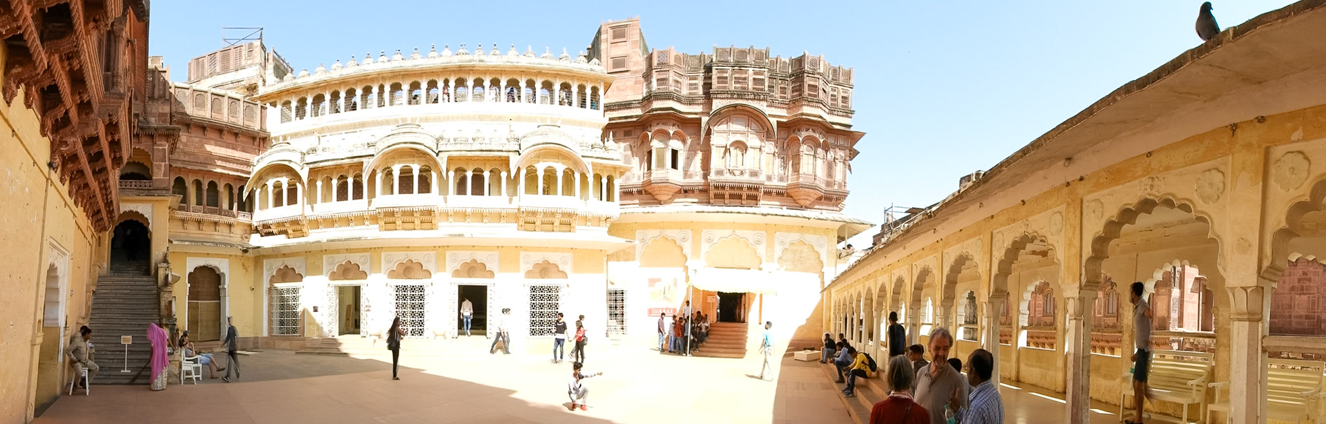 _2018-02-24__Nikon__Coolpix B700__ __f/3.5__1/500 sec________