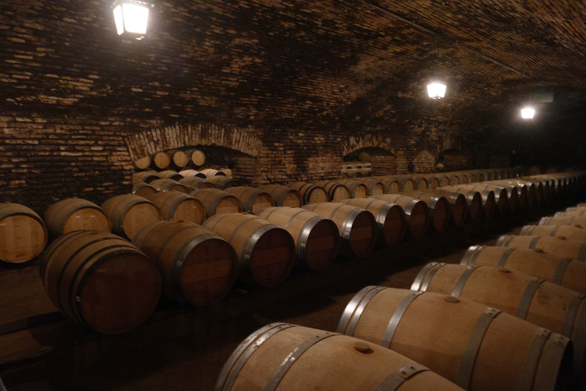 2020-01-19 16:07:26_FZ1000 24-400mm_f/2.8_1/6 sec_