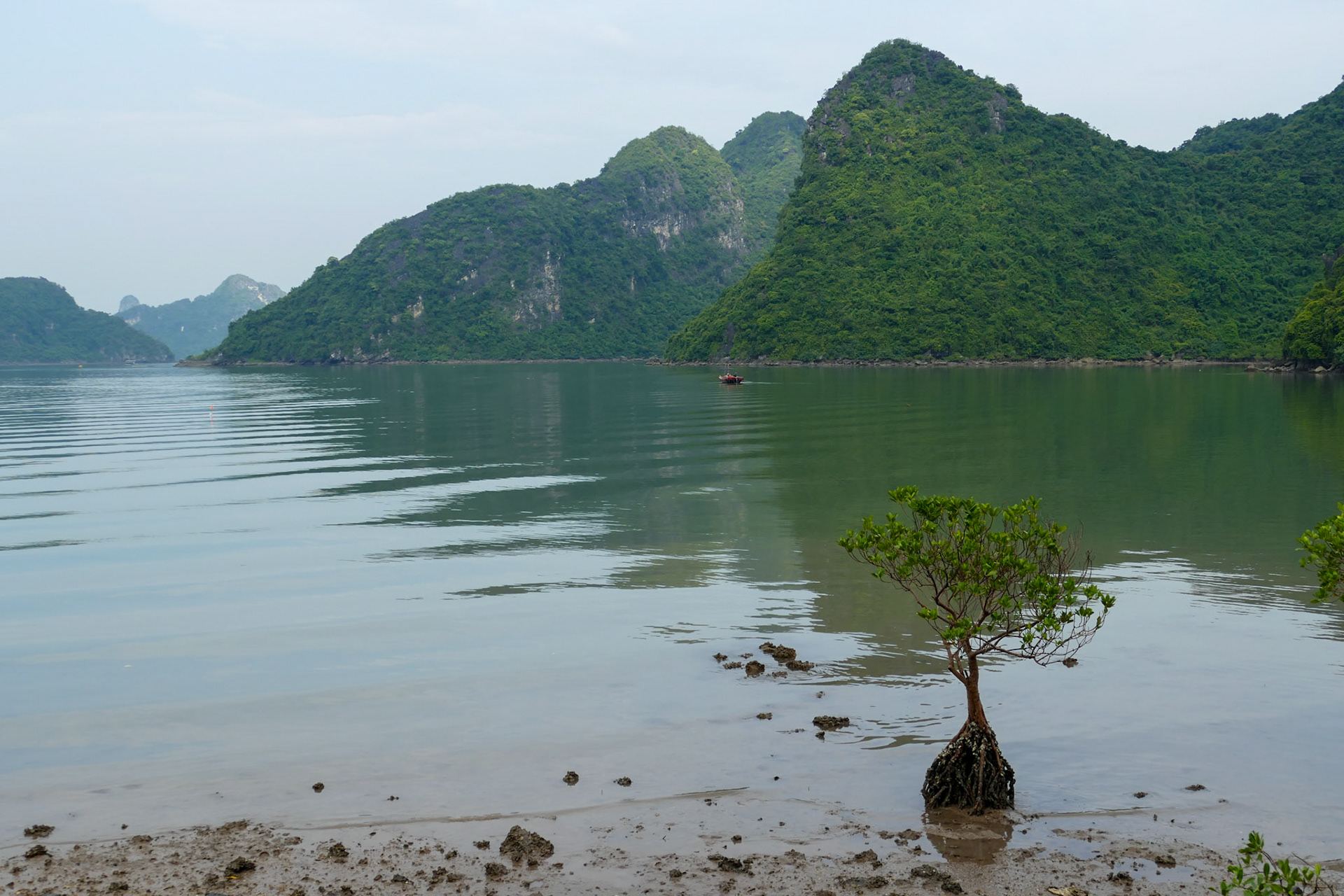 _2019-09-05__DMC-FZ1000__ __f/3.2__1/800 sec_________