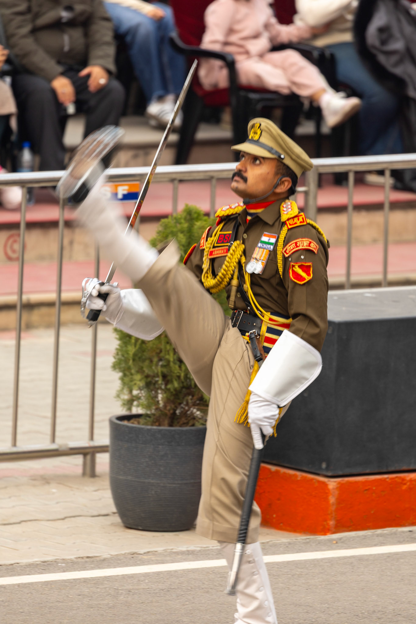 __2025-12-10__Canon__Canon EOS R3__ RF100-500mm F4.5-7.1 L IS USM__f/7.1__1/60 sec__Grand Trunk Road گرینڈ ٹرنک روڈ__Rorawala Khurd__India__31°36'16.02" N 74°34'26.2992" E