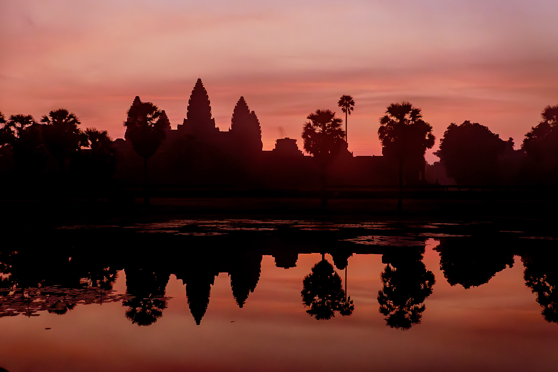 2019-09-30 05:33:20__f/3.1_1/25 sec_