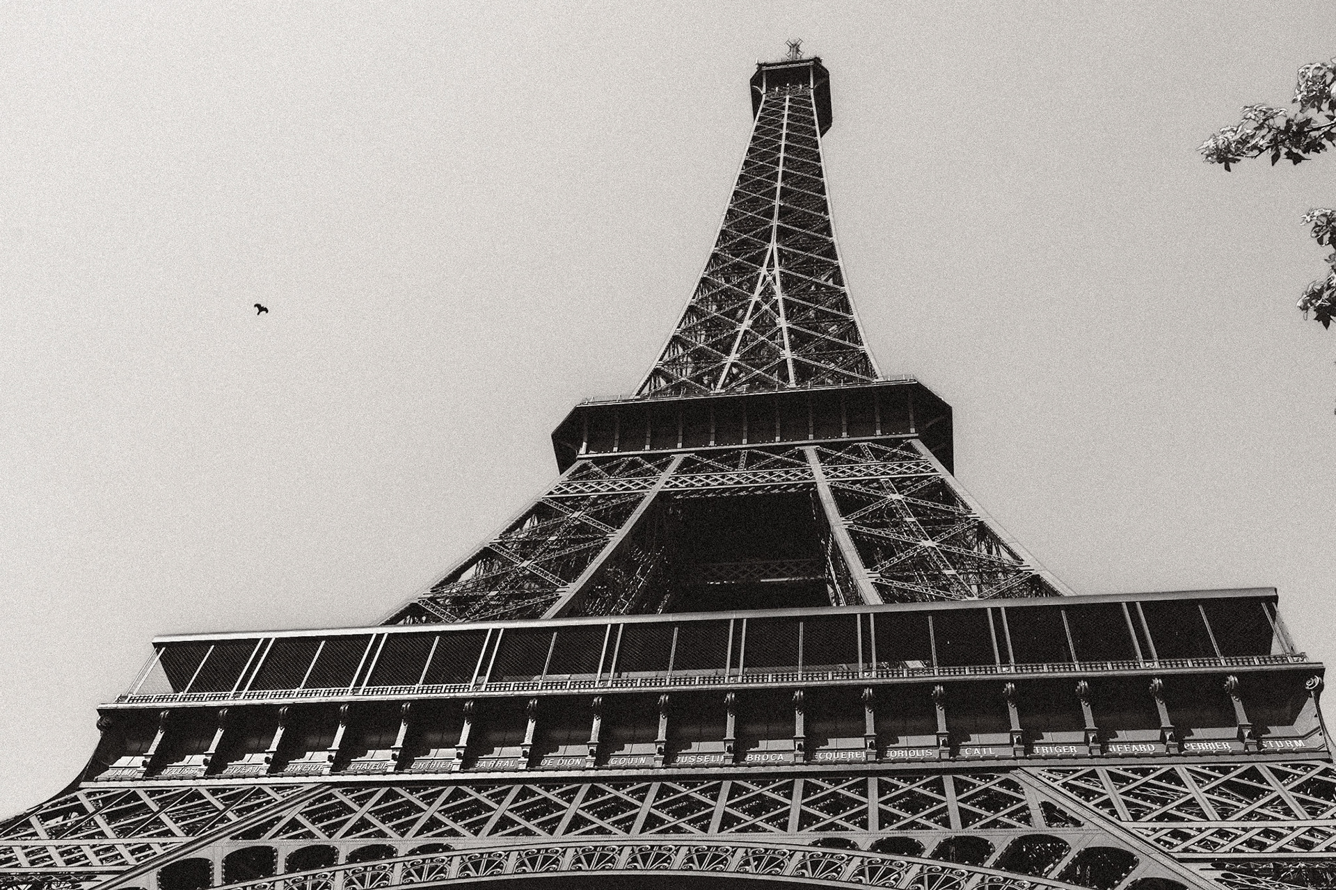 2025-06-19 16:26:12_RF15-35mm F2.8 L IS USM_f/6.3_1/320 sec_Avenue de New York_Paris_France_48°51'28.494" N 2°17'38.2632" E