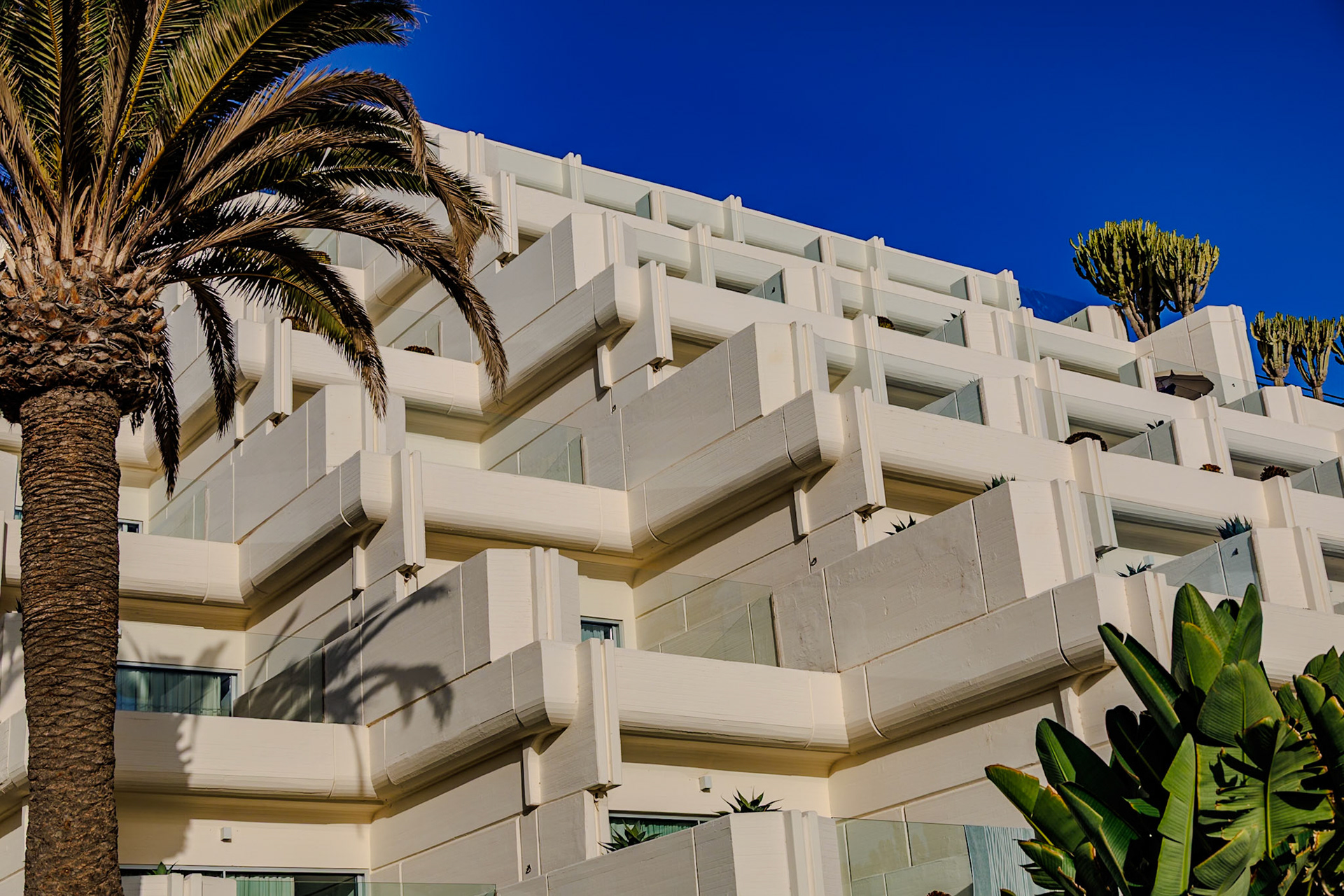 _2024-12-01__Canon__Canon EOS R3__ RF24-240mm F4-6.3 IS USM__f/5__1/1600 sec__Avenida Islas Canarias__Teguise__Spain__