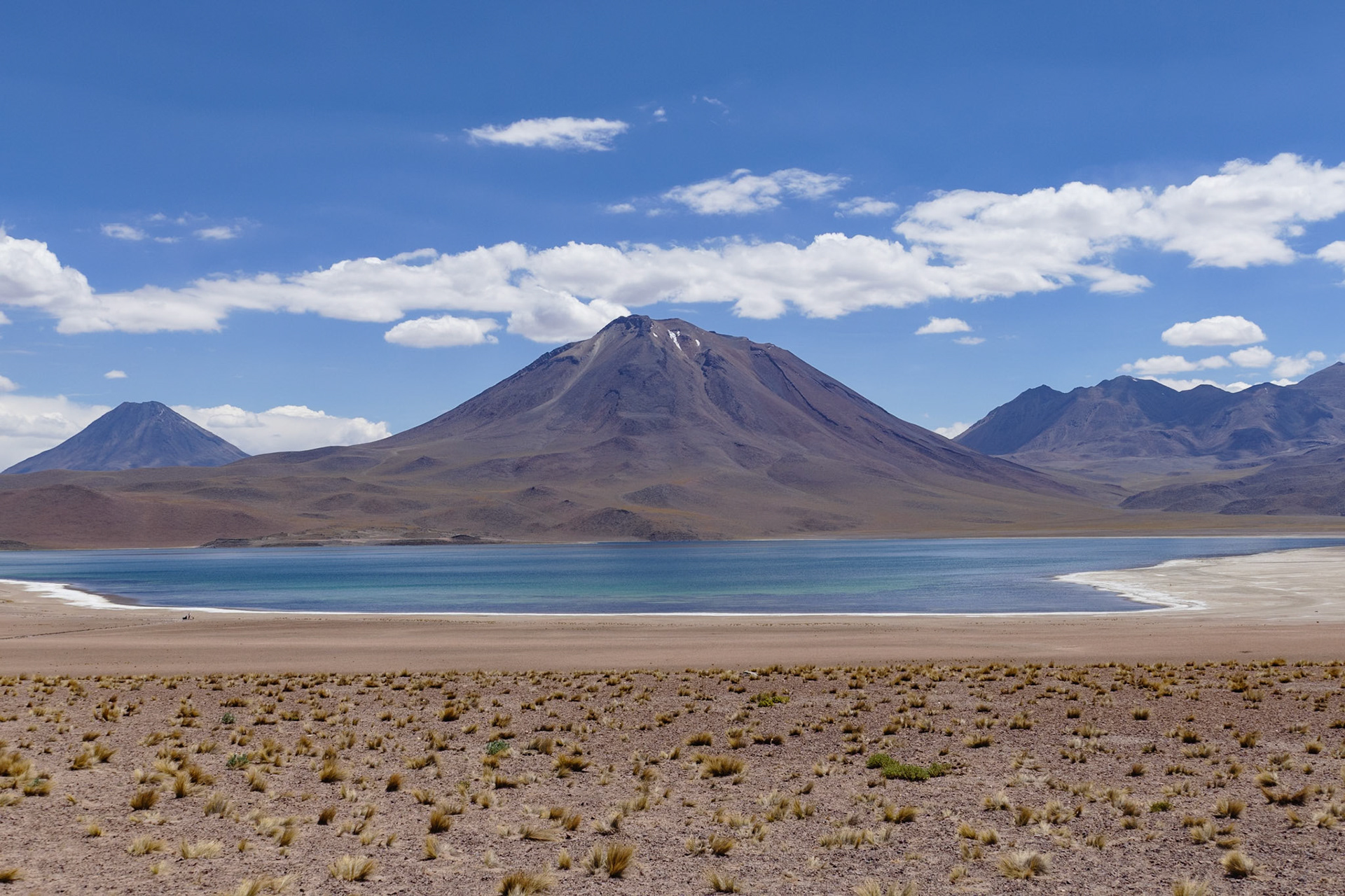 _2020-01-14__Panasonic__DMC-FZ1000__ __f/4.5__1/1600 sec__Camino a Laguna Miscanti Meñique__San Pedro de Atacama__Chile__23°45'10.1628" S 67°47'24.1116" W