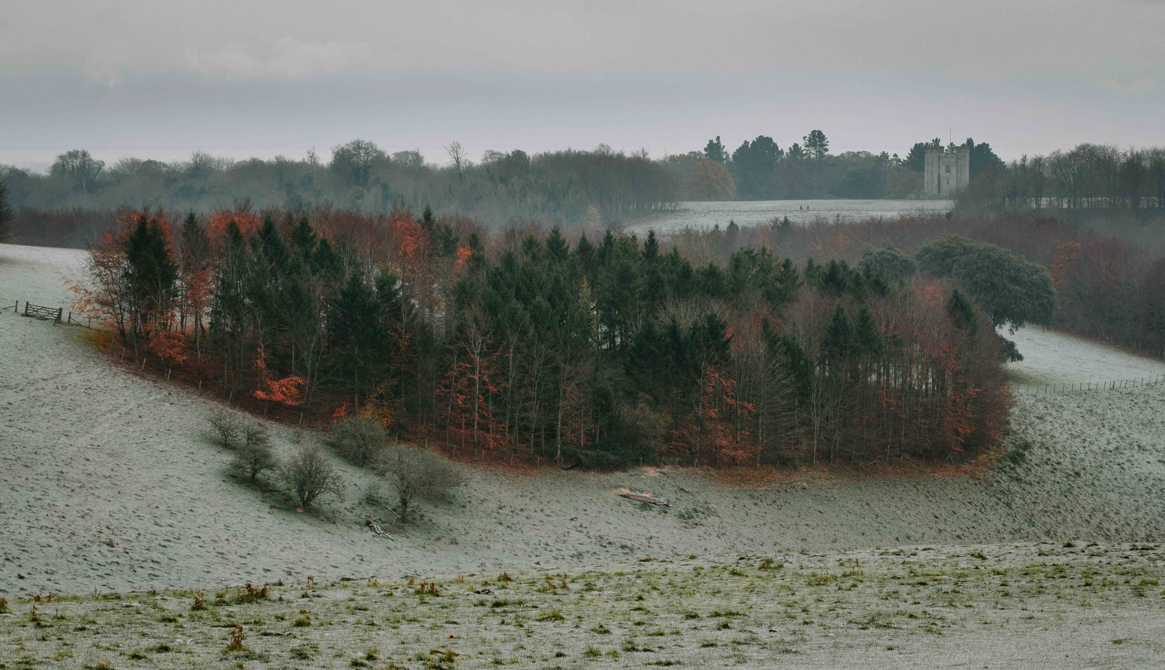 Arundel Park December 2022