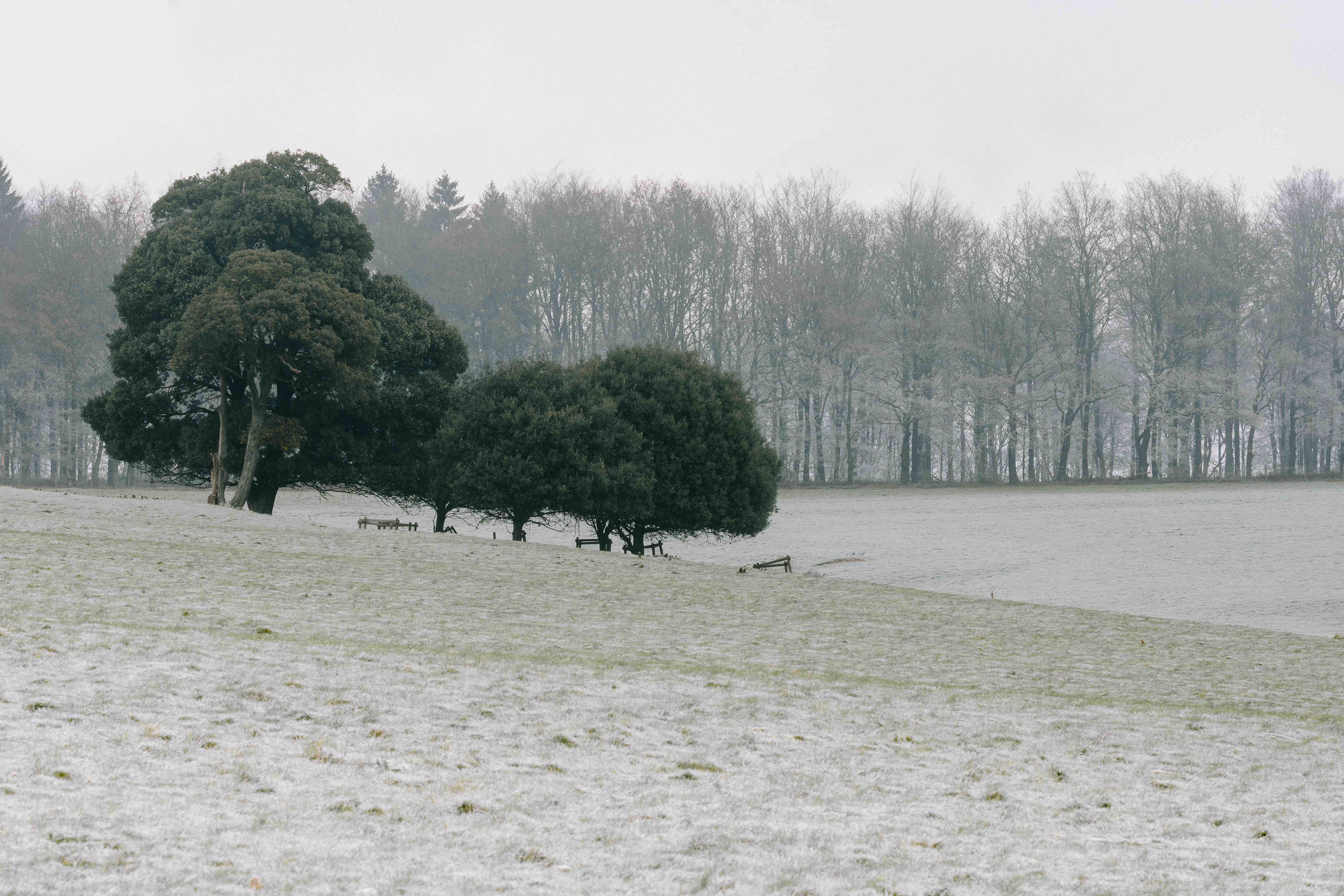 Arundel Park December 2022