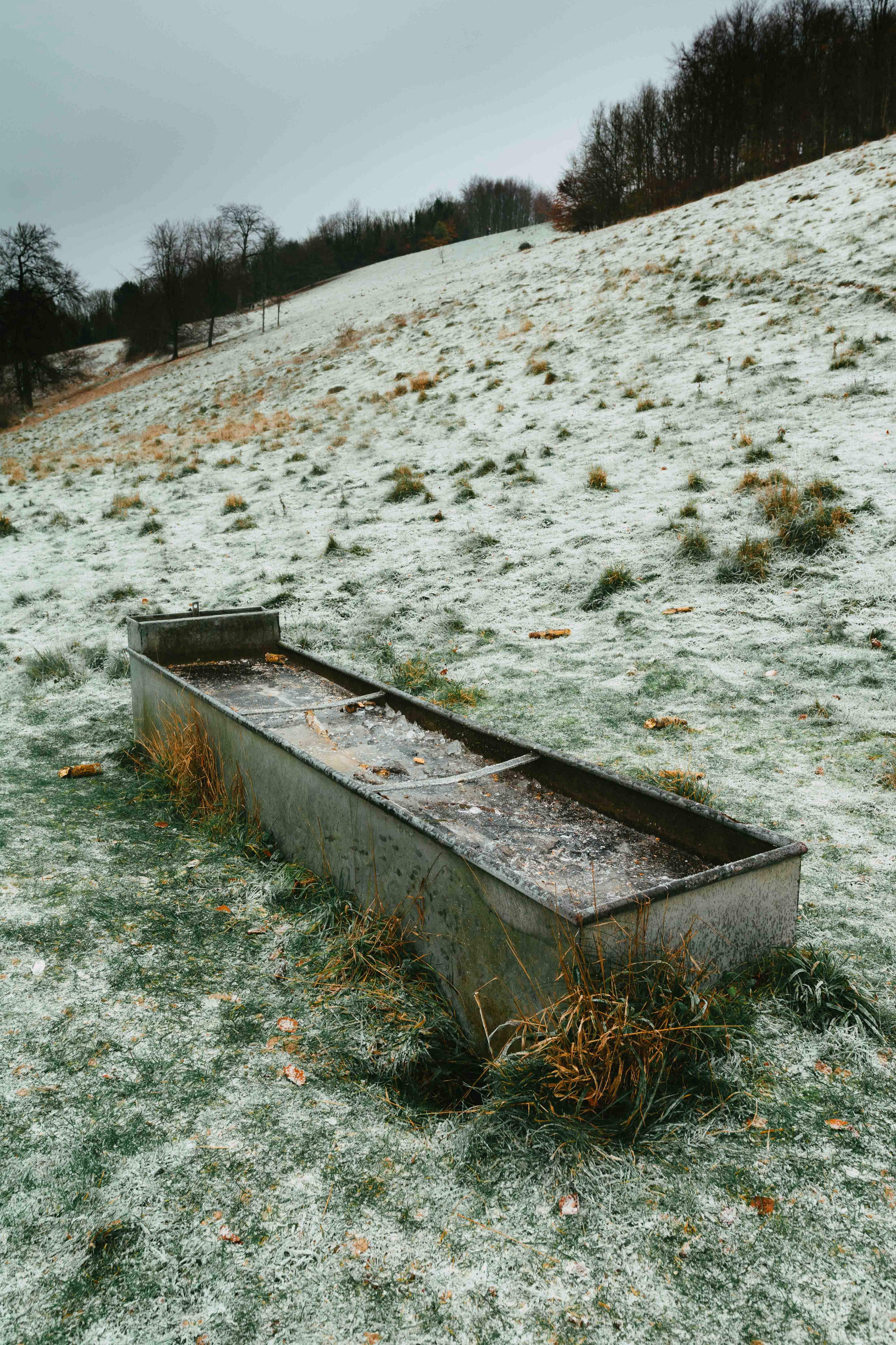 Arundel Park December 2022